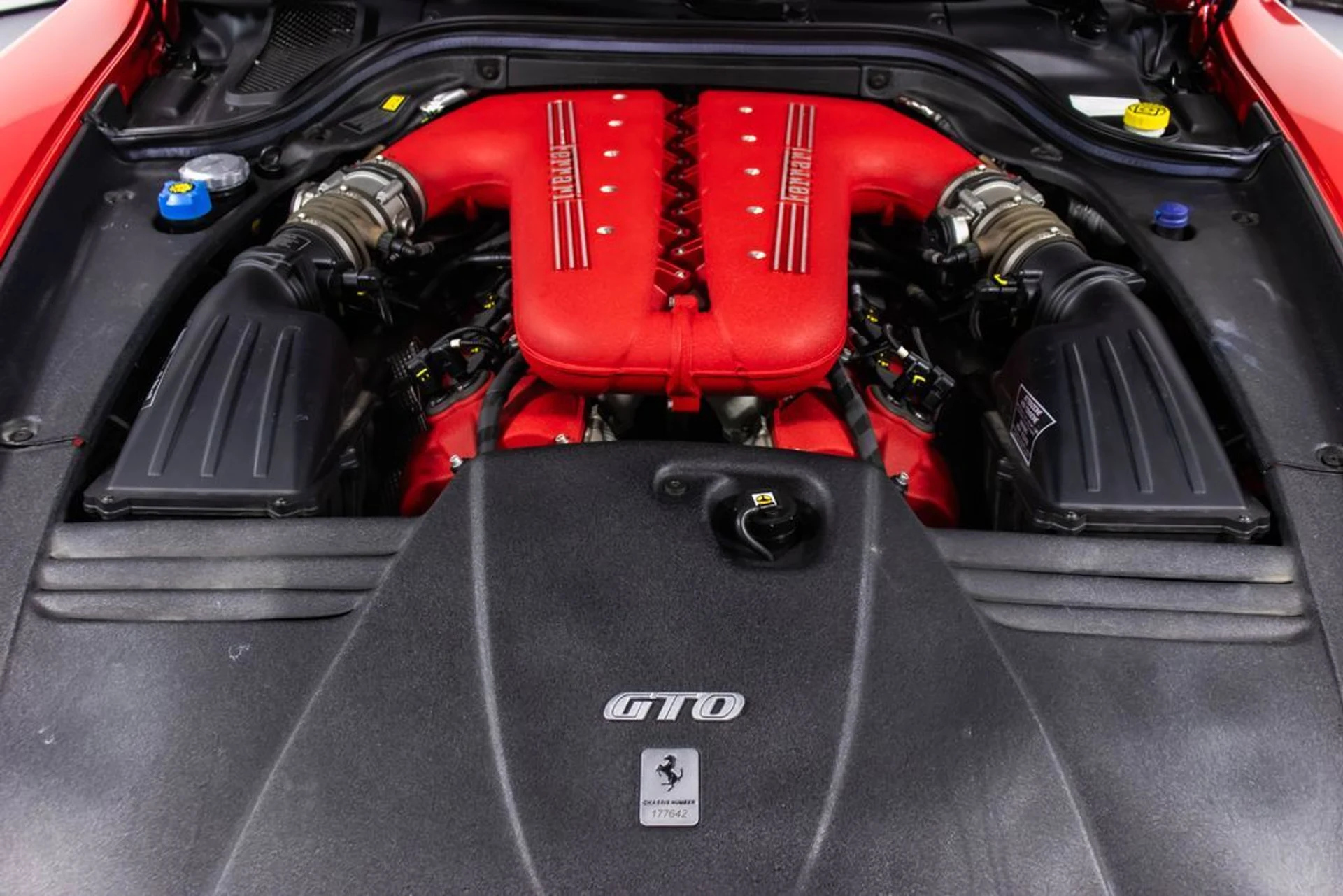 mph055_2611075682_302ee33cc25817d94e51326fc666e93ax_d4c7418e5a