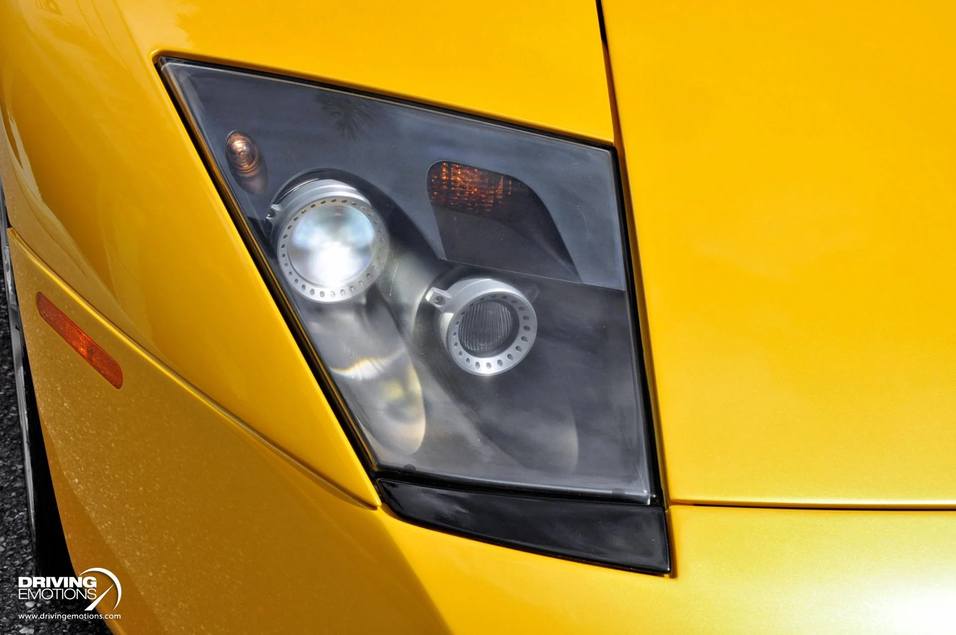 mph055_2863845282_862_p56_l_b05f508b68