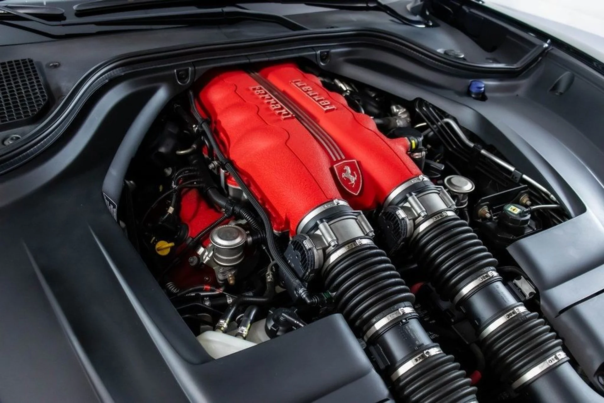 mph055_3173934936_829220bd0c7abad3470778c64bb20549x_79b5f37740