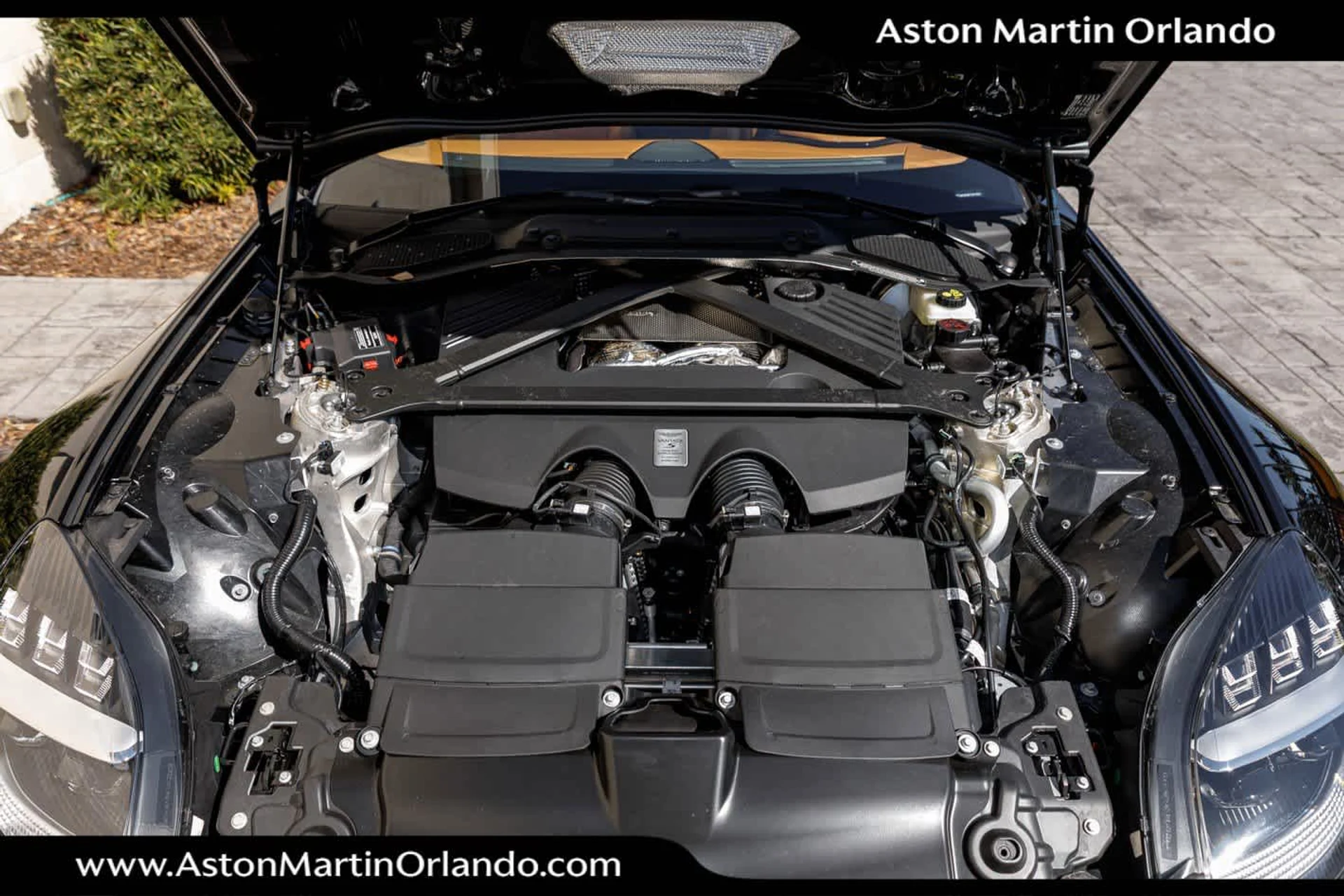 mph055_3311827510_56_5f77e55a3e