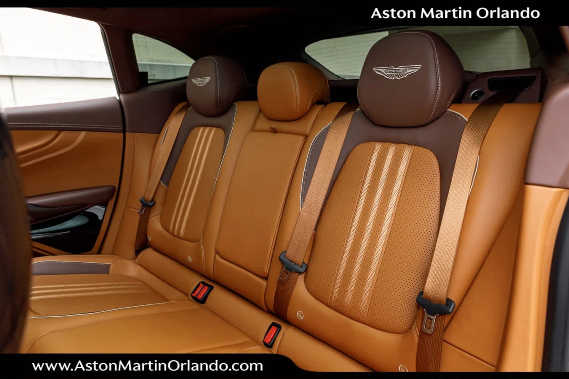 mph055_3572863075_56_5d01d02c99