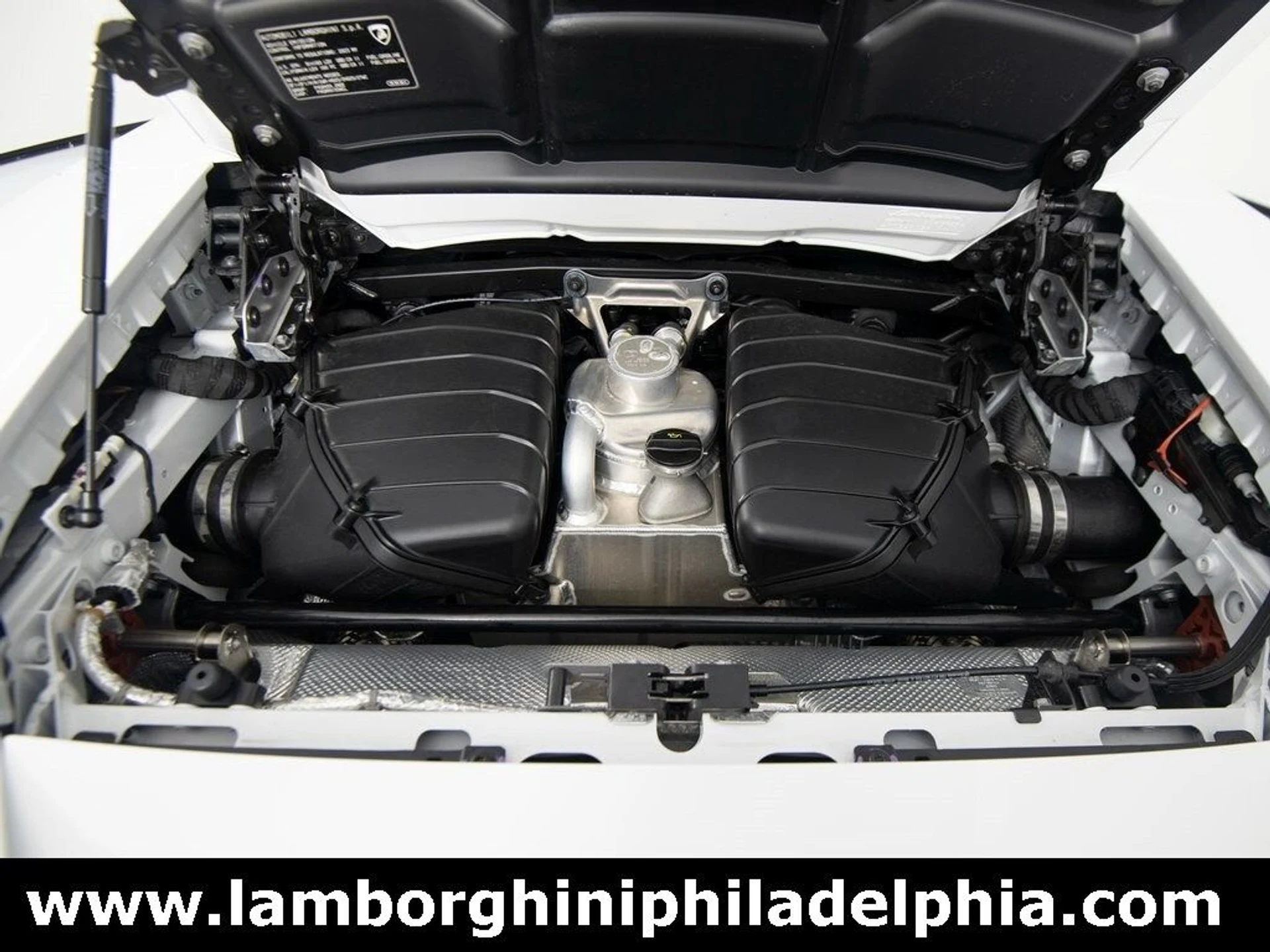 mph055_3659708868_a4e338f51cc62cc54727fc3c8cfab35ex_416852438f