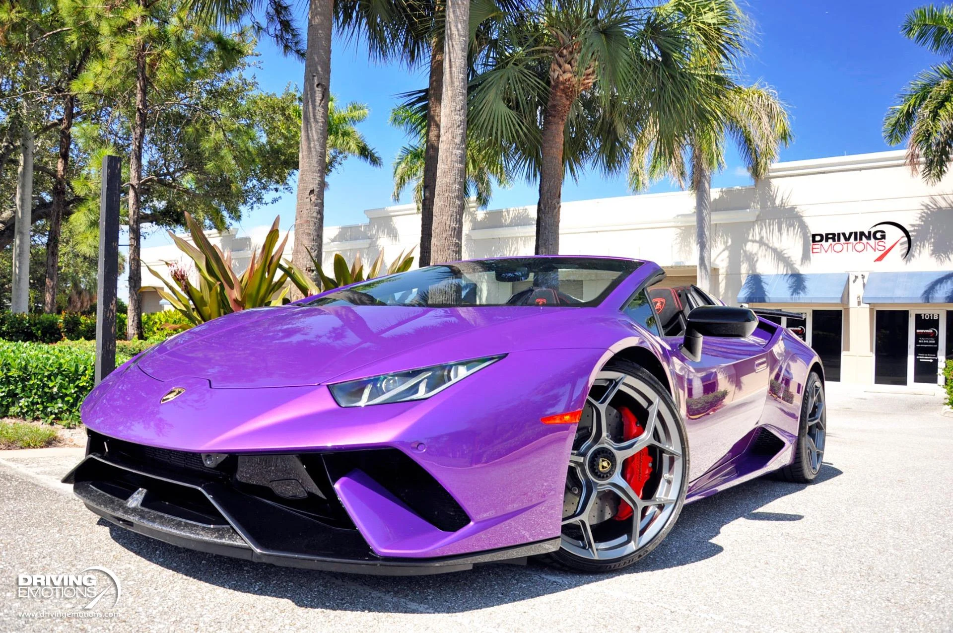 mph055_382511089_863_p56_l_eac65a4b2a