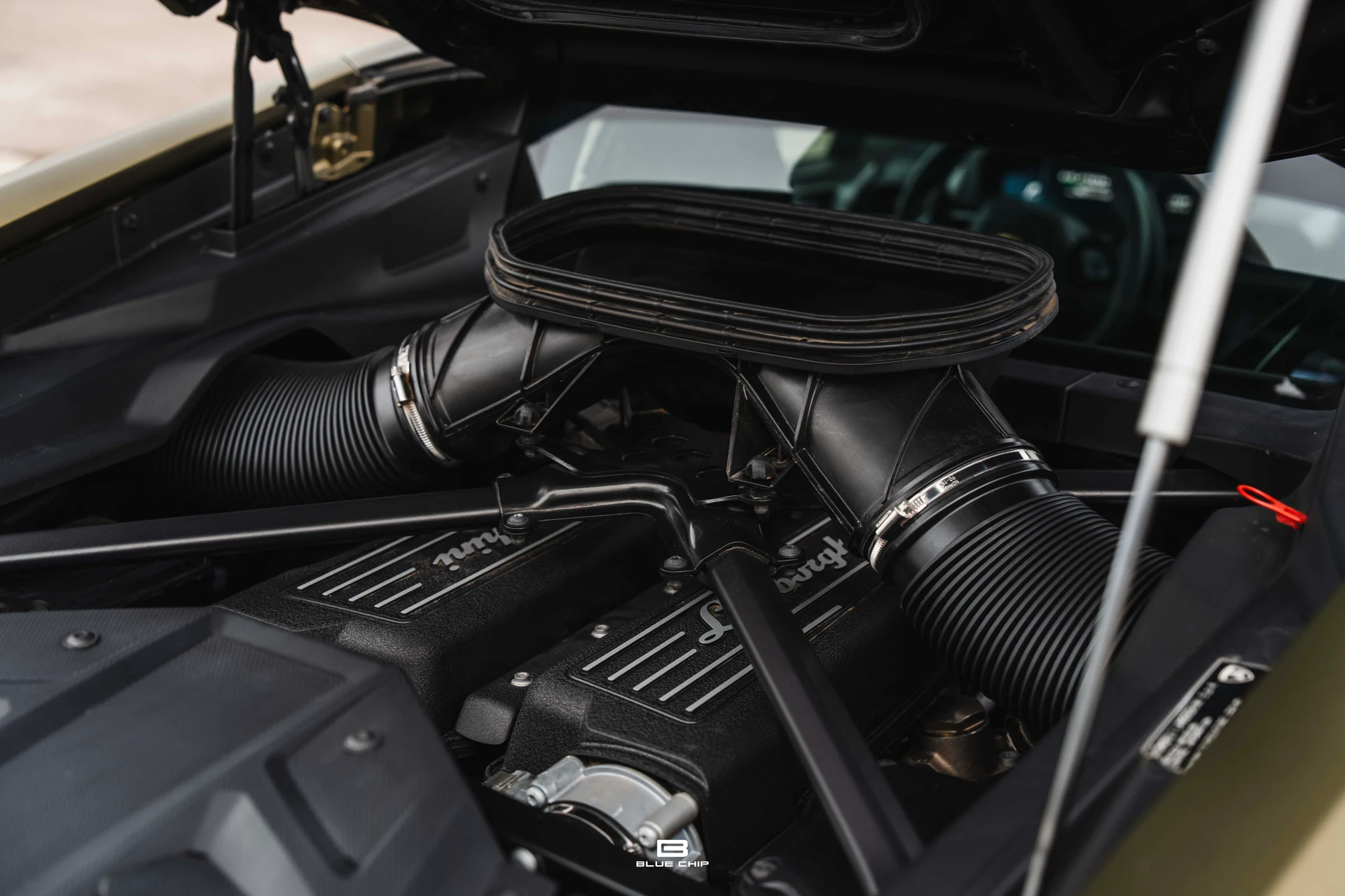 mph055_4280599702_6958462f15d810f44fefbf93_A7401775_12615705be