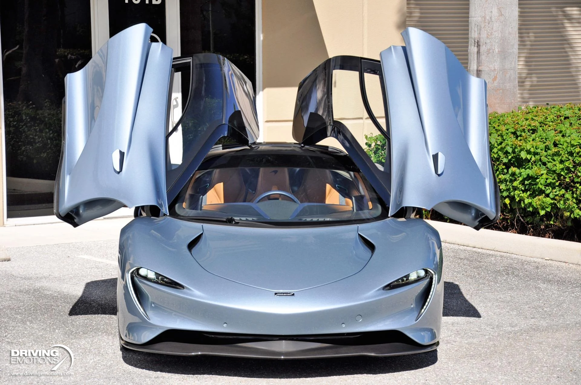 mph055_433728531_821_p56_l_dd9584dab5