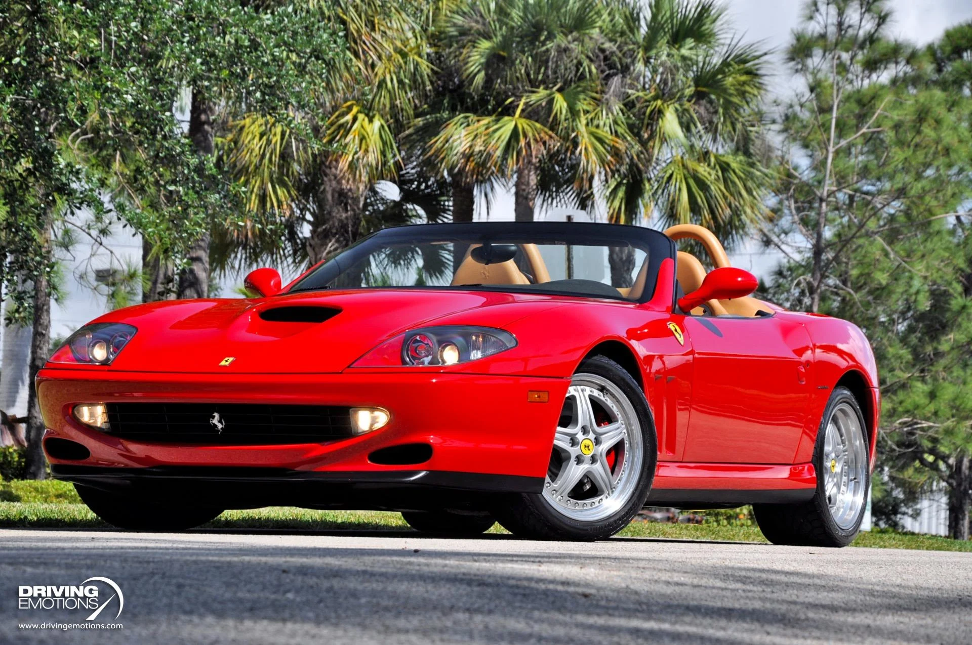 mph055_551291675_437_p56_l_c130434847