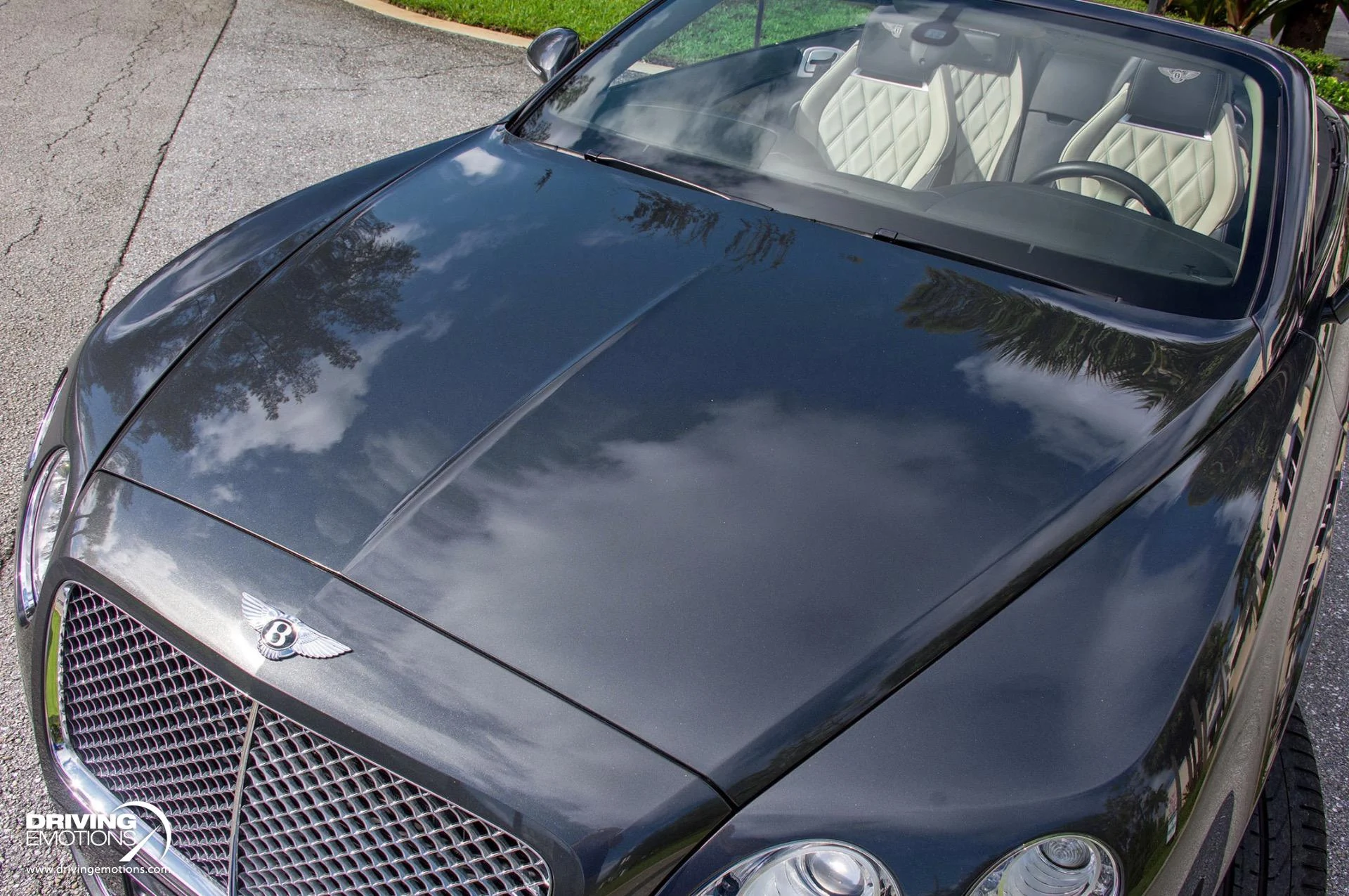 mph055_656780855_871_p56_l_efce5b5c3e