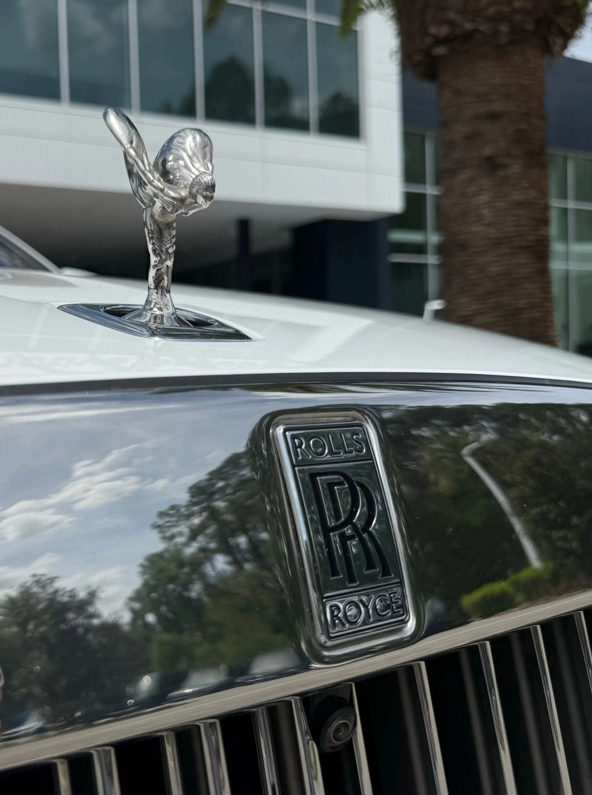 mph055_772356414_d2cfca162bf5427284f2e35d22fef673_7015f675e9