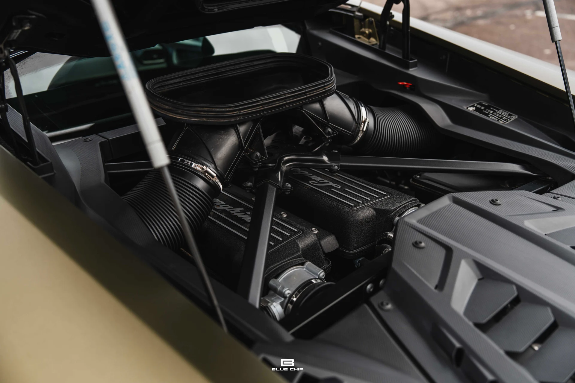 mph056_2080250405_6958463596ac11d4dd2f514f_A7401791_7fe9159a25