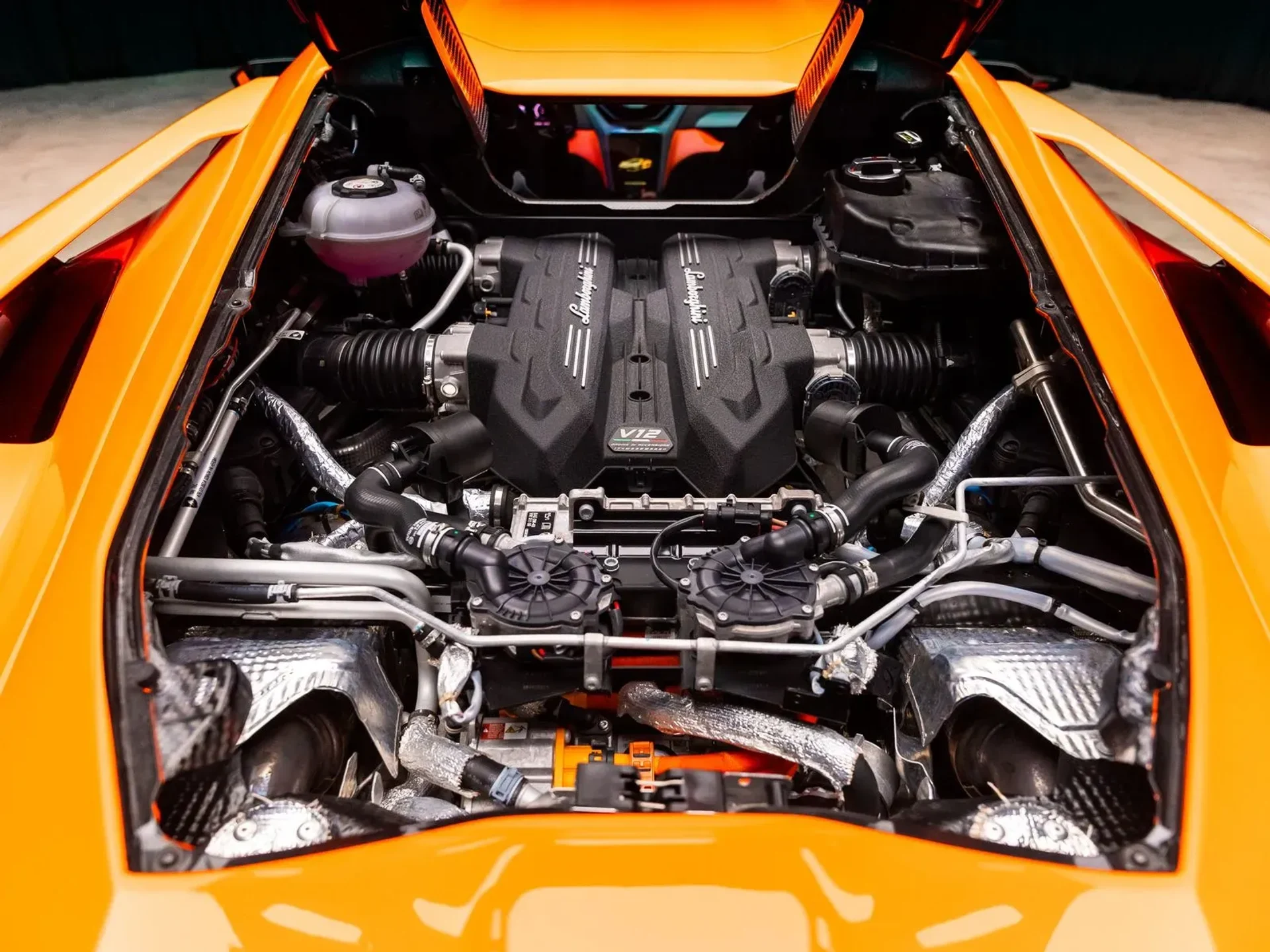 mph056_4064623254_203946b5_8d11_40e0_90b9_815083e17aad_53096d1e24