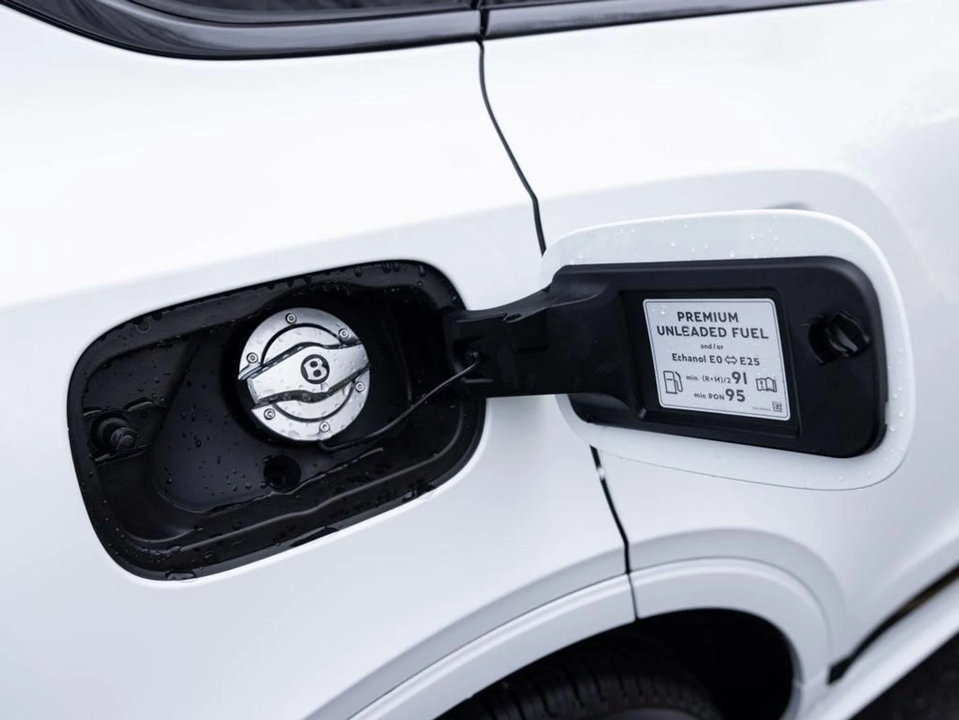 mph056_957491107_403809831_67c233f06b5617b02de6365e_d826a64dc8