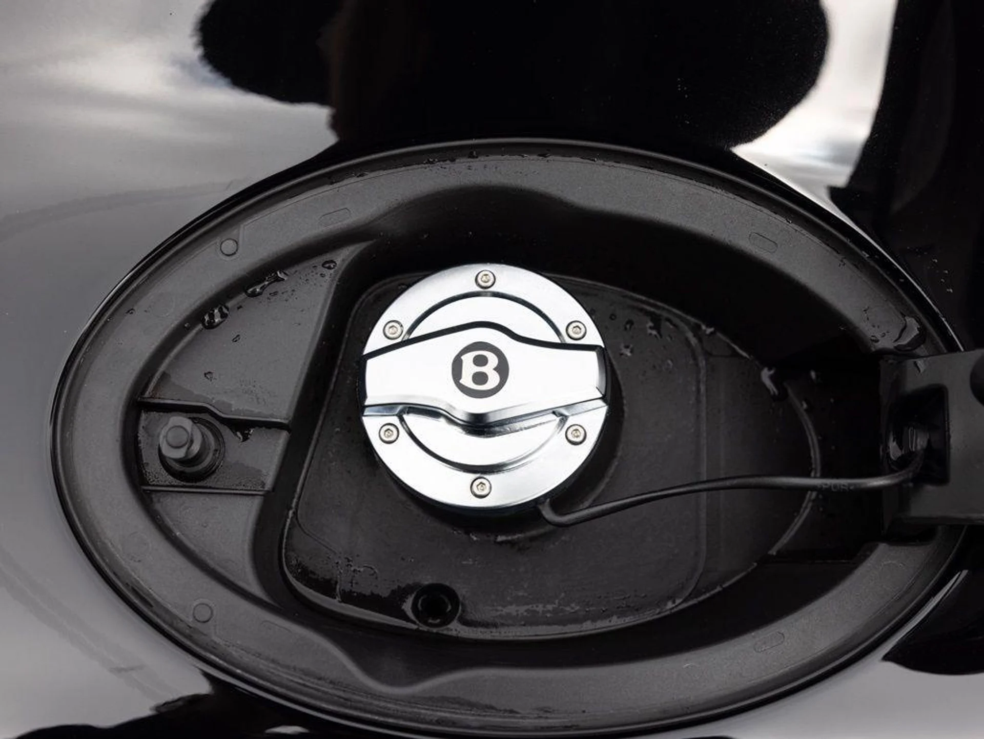 mph057_2772957730_502891109_69c2b0a70101ed4b1a20828e_5028728187