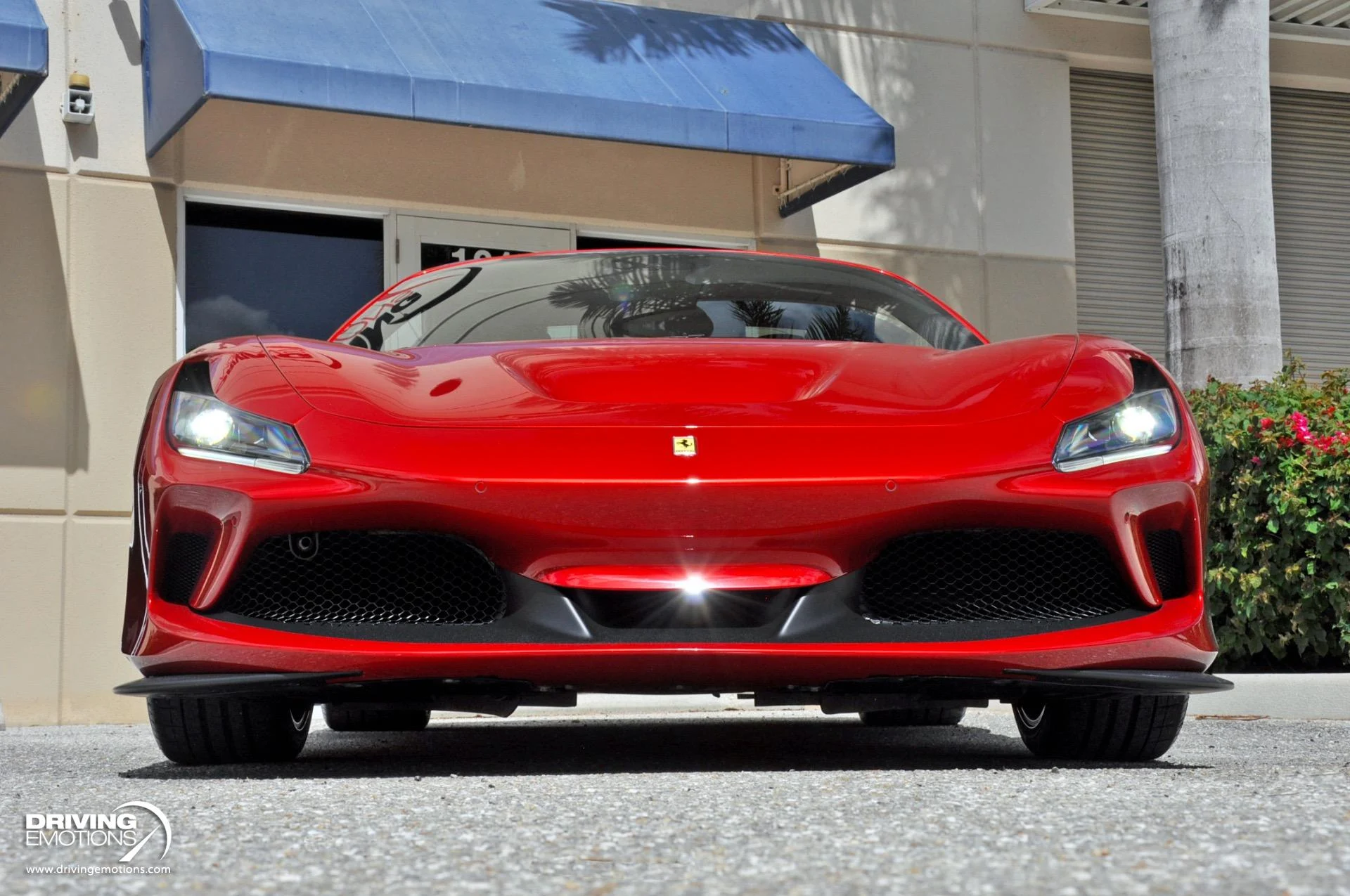 mph057_321090342_896_p58_l_ef7e41f8a2