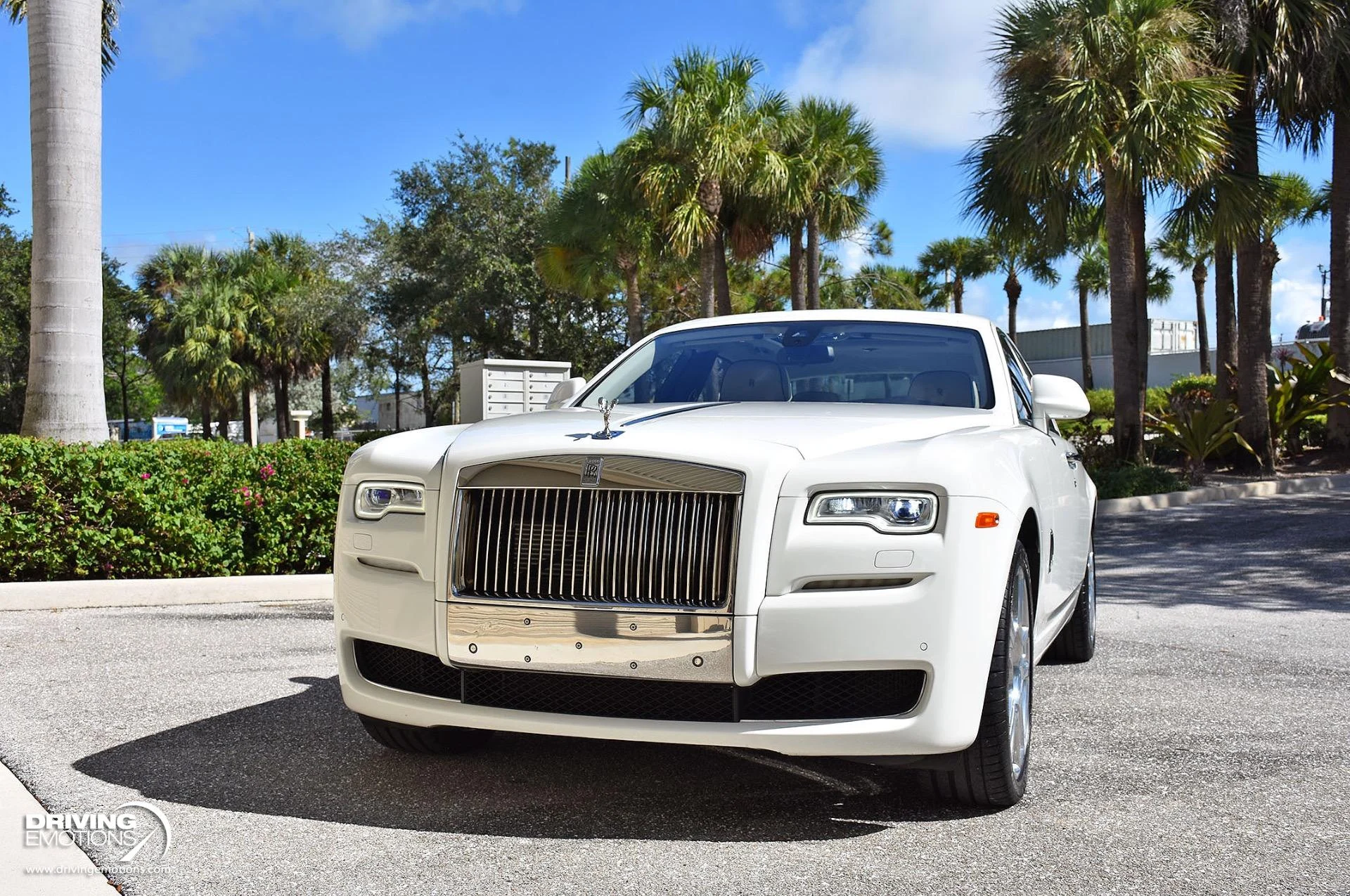 mph057_3416803214_872_p58_l_a46aa02a55