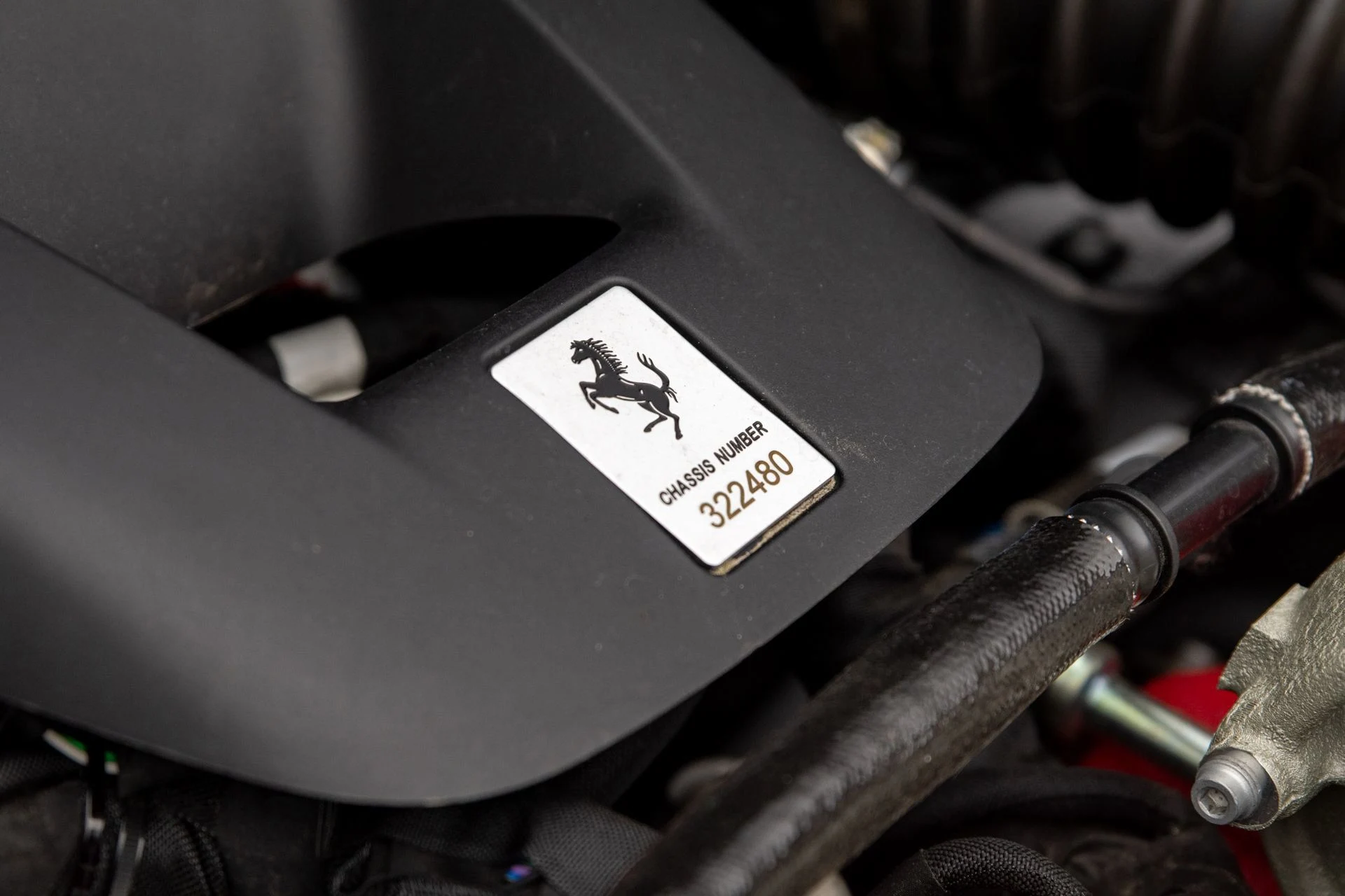 mph057_955027020_21b05facd6aa428b81ee43334bcd5e41_a6789dfcc5