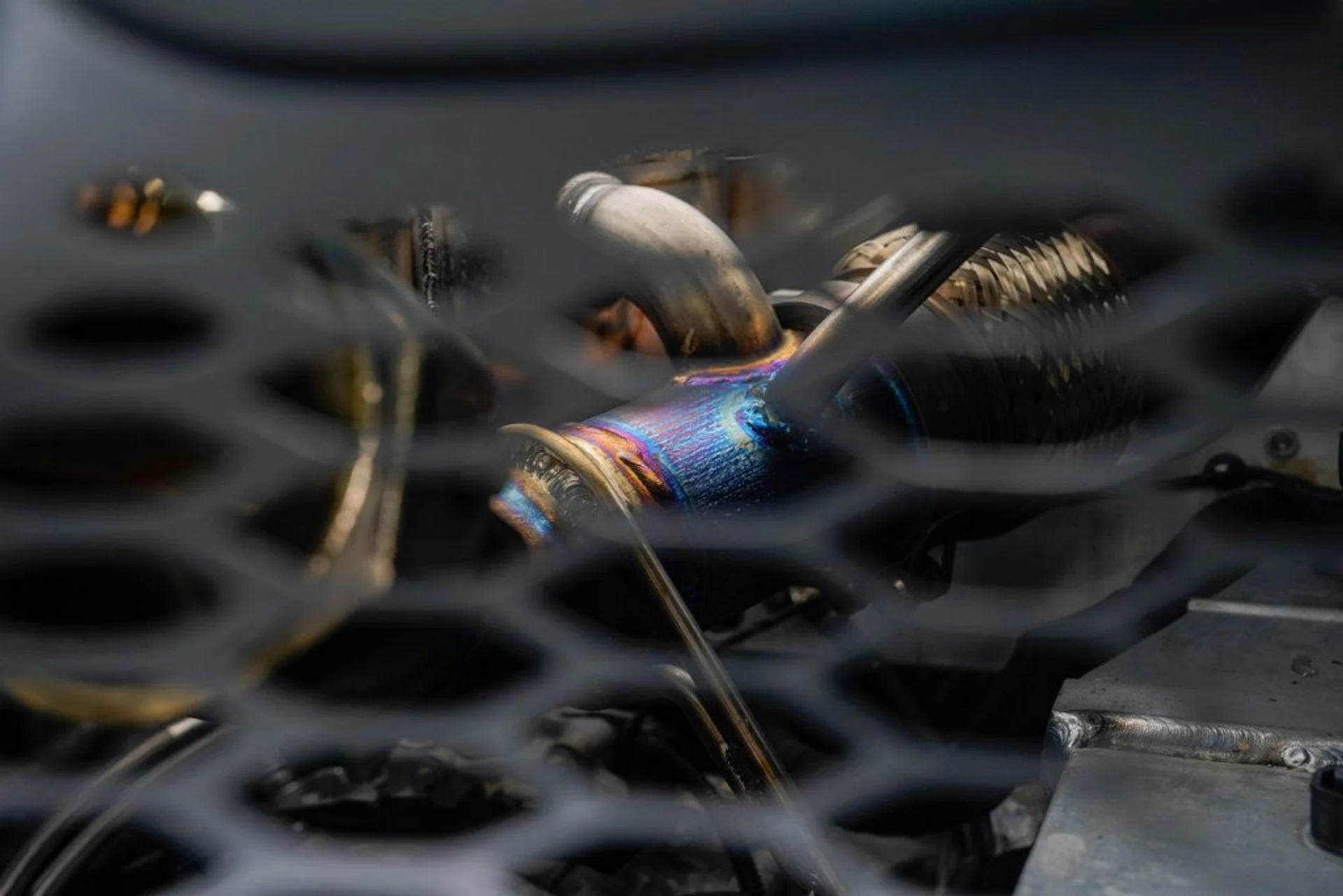 mph058_1770072042_22828181_59_1024_e4c18f342a