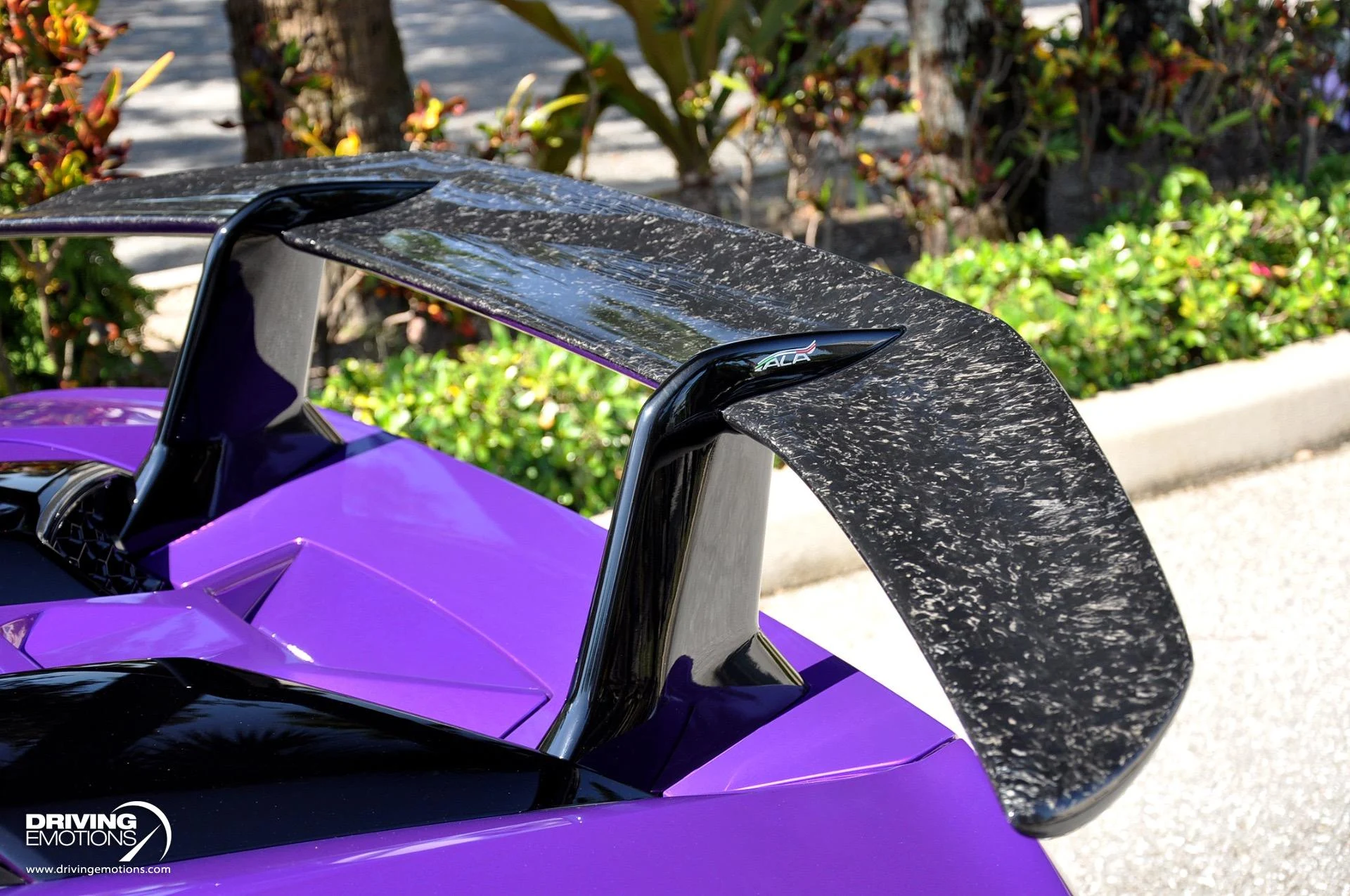 mph058_2994213517_863_p59_l_b5dd9f89d6