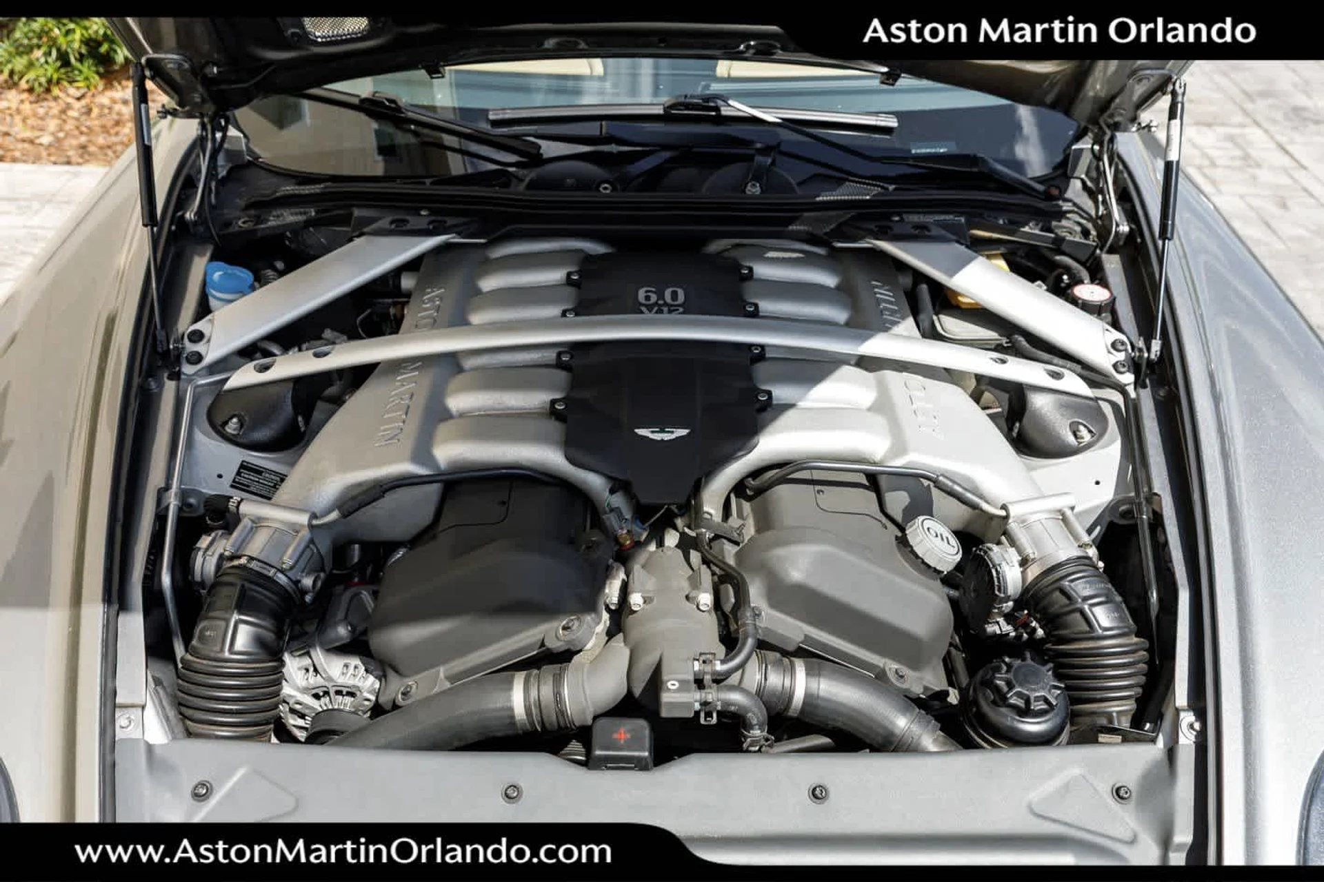 mph059_1000819642_60_bddff2920c