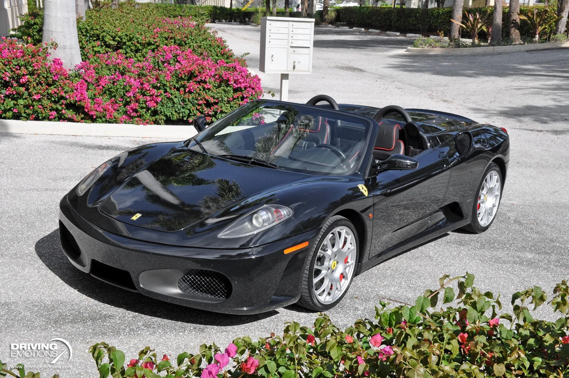 mph059_1823360633_885_p60_l_465f2e5ac4