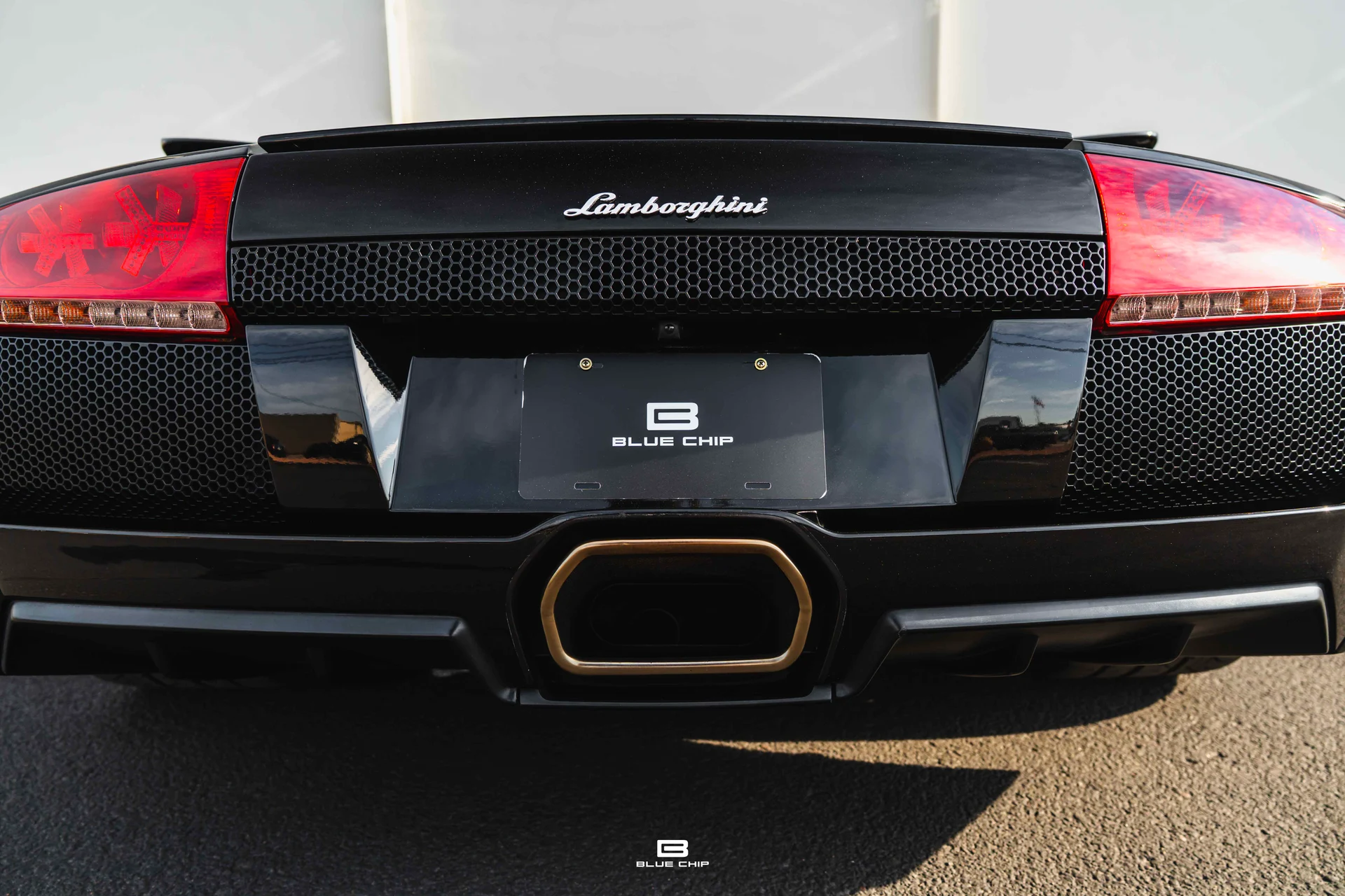 mph059_1824081306_6893848ad4687921fab8332f_DSC_01141_5bfef6398f