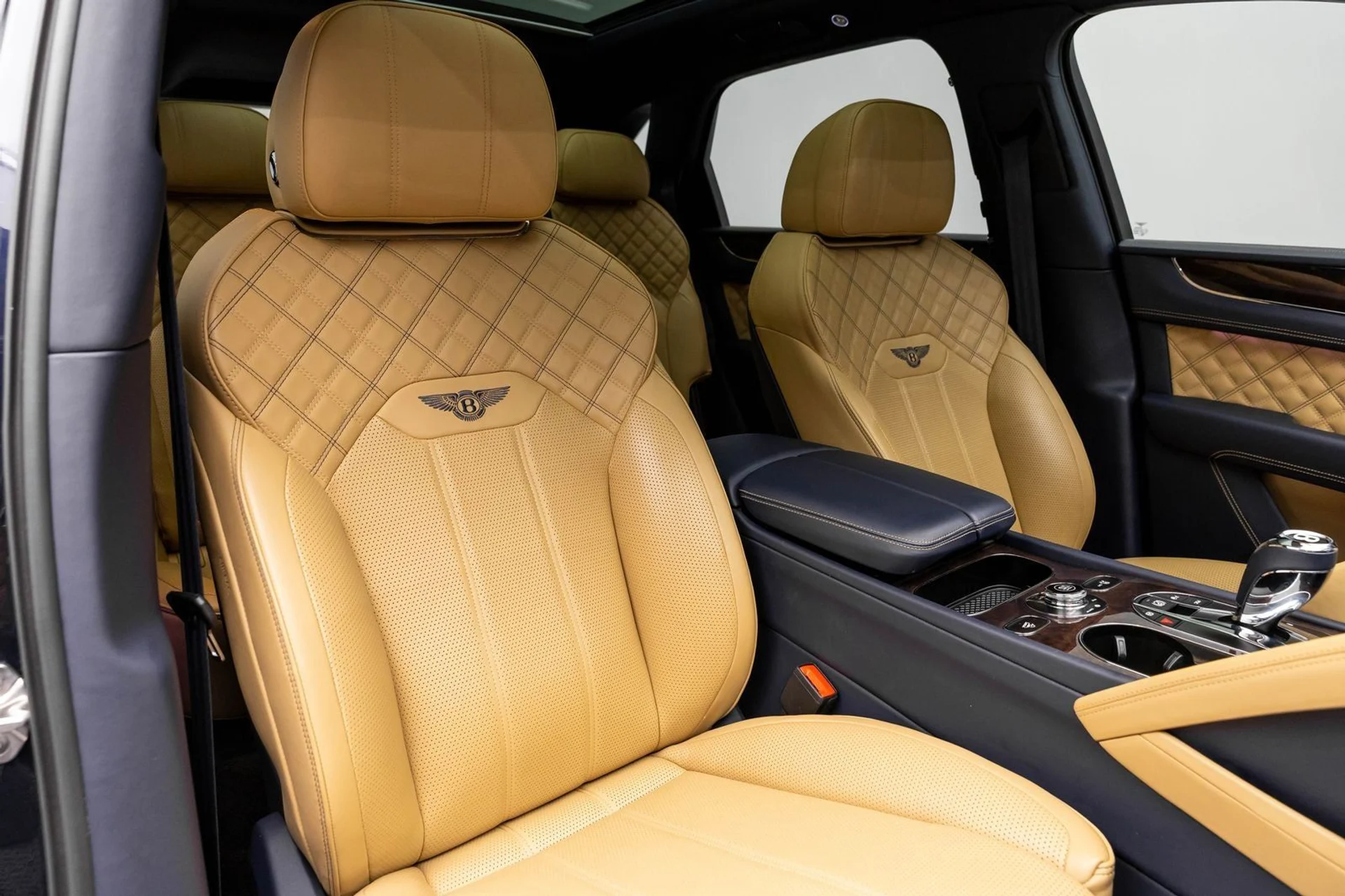 mph059_1855528278_60_2edff8a56a