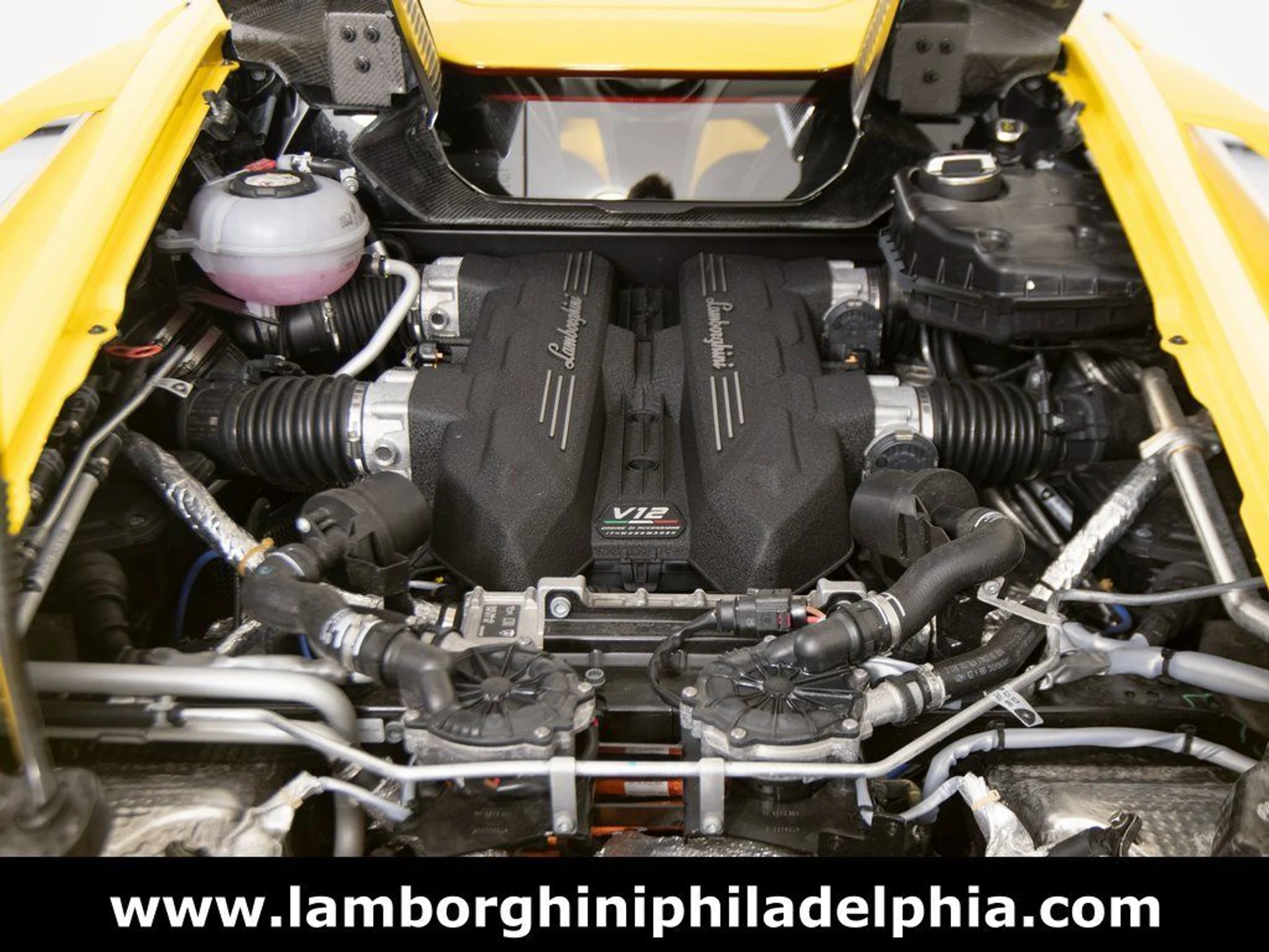 mph059_284366996_5855e84d8272e8652b5ecd5c8d040d35x_52d9cced03