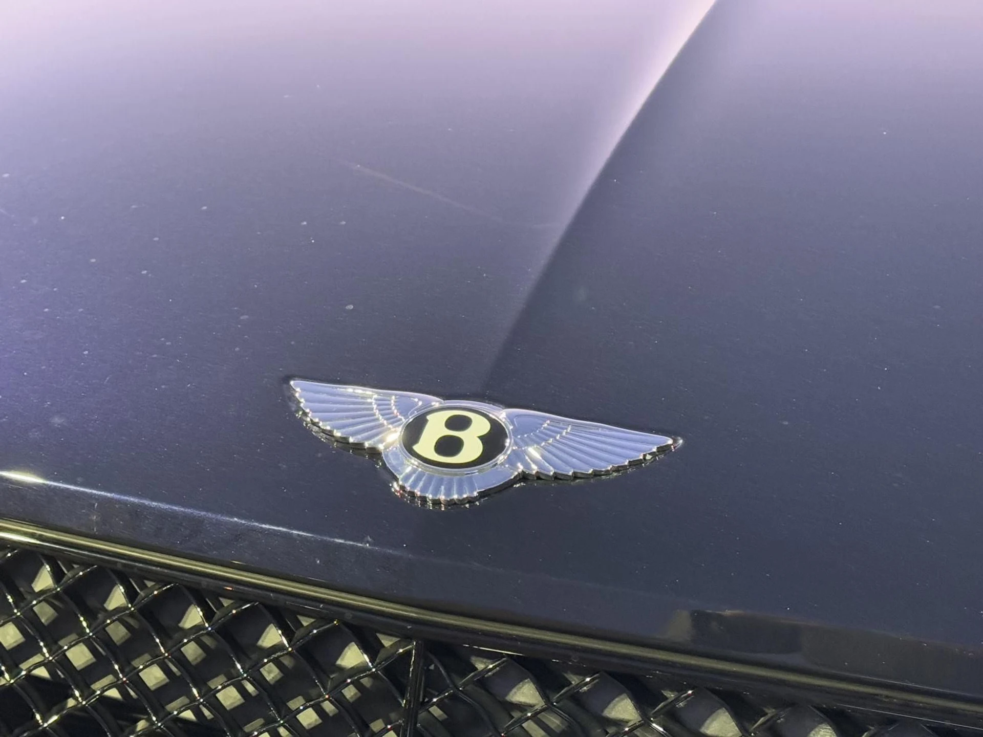 mph059_3022452259_09ef8da850ce67f2f4ce70b83e1a7ba6_da0ff94dea