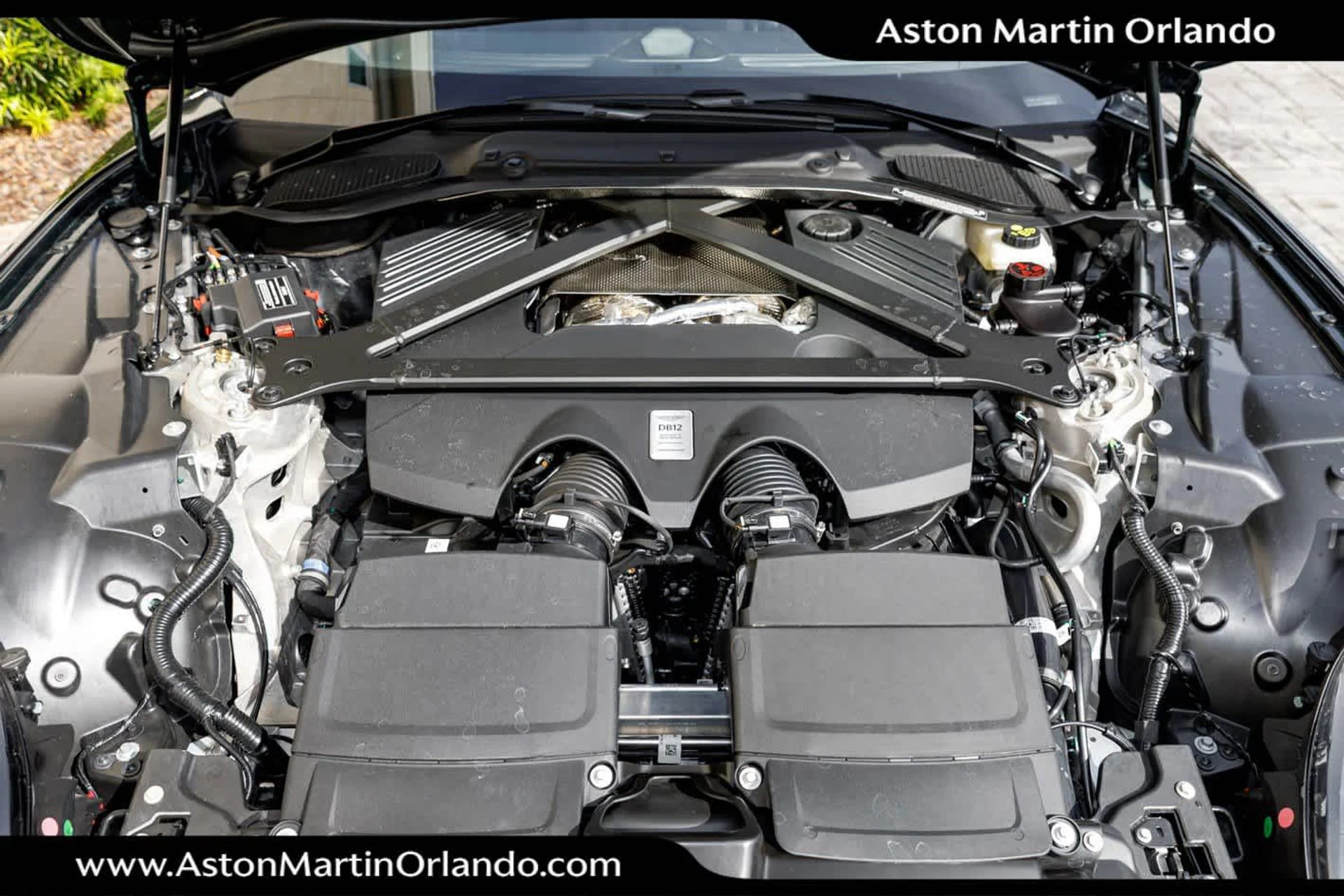 mph059_3205073700_60_9bdaa3df1e