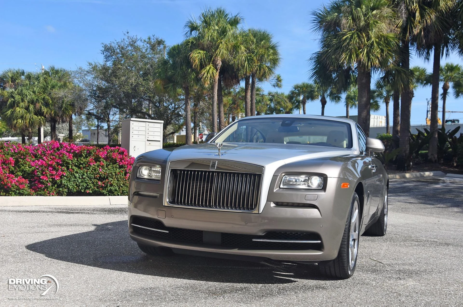 mph059_3262888710_883_p60_l_9a1de05021