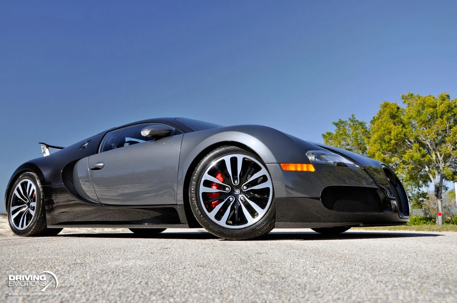 mph059_3455658601_479_p60_l_27969e5095