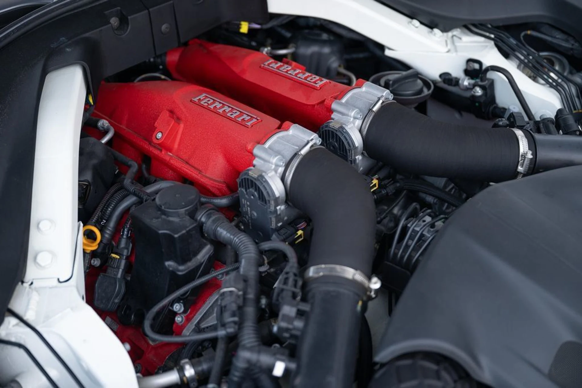 mph059_3669638691_8a20993e77d942b480014d24360f71f9_34e59dfd6f