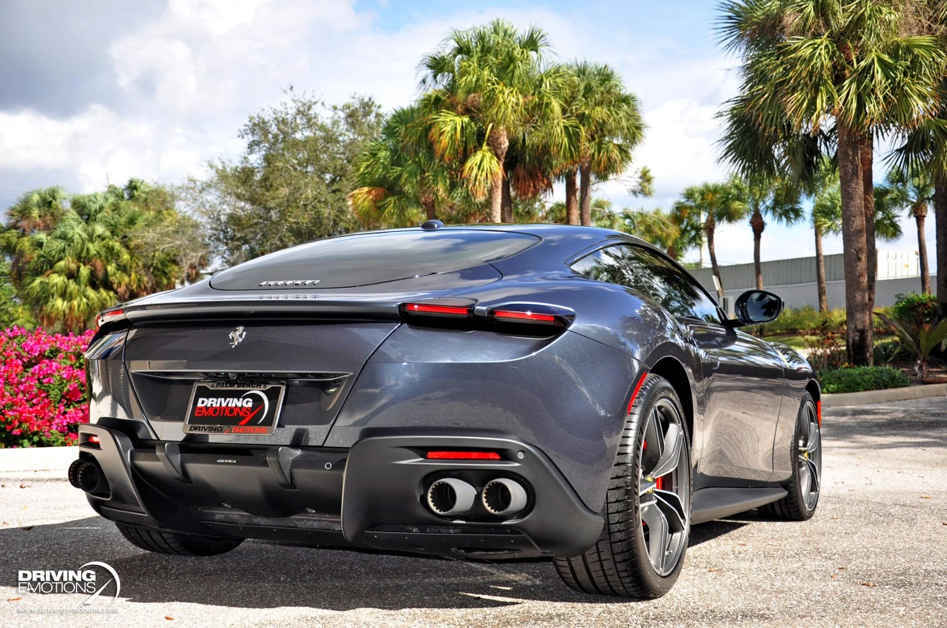 mph059_3732763623_882_p60_l_ec58239200