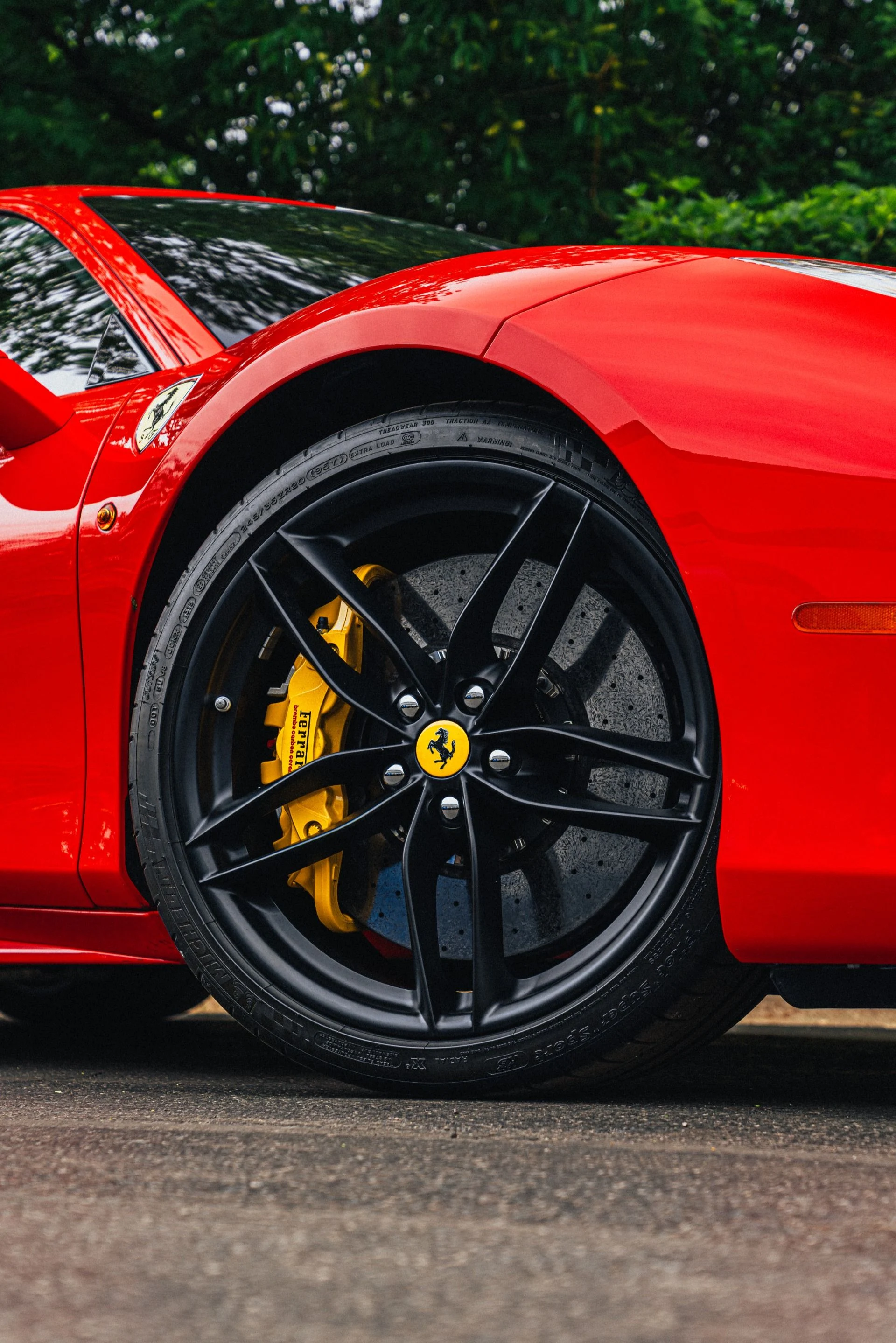 mph059_375439880_12497_p60_l_b77e8e091c