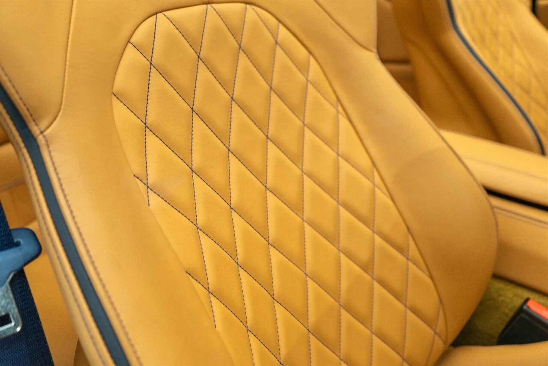 mph059_390192617_6d6c711562_1280_b778f30eb0