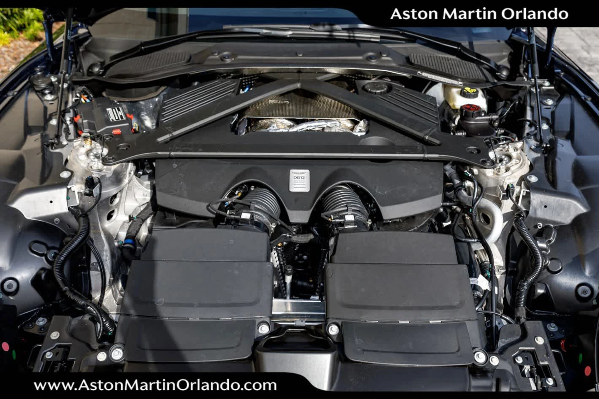 mph059_4035172097_60_10813b8484