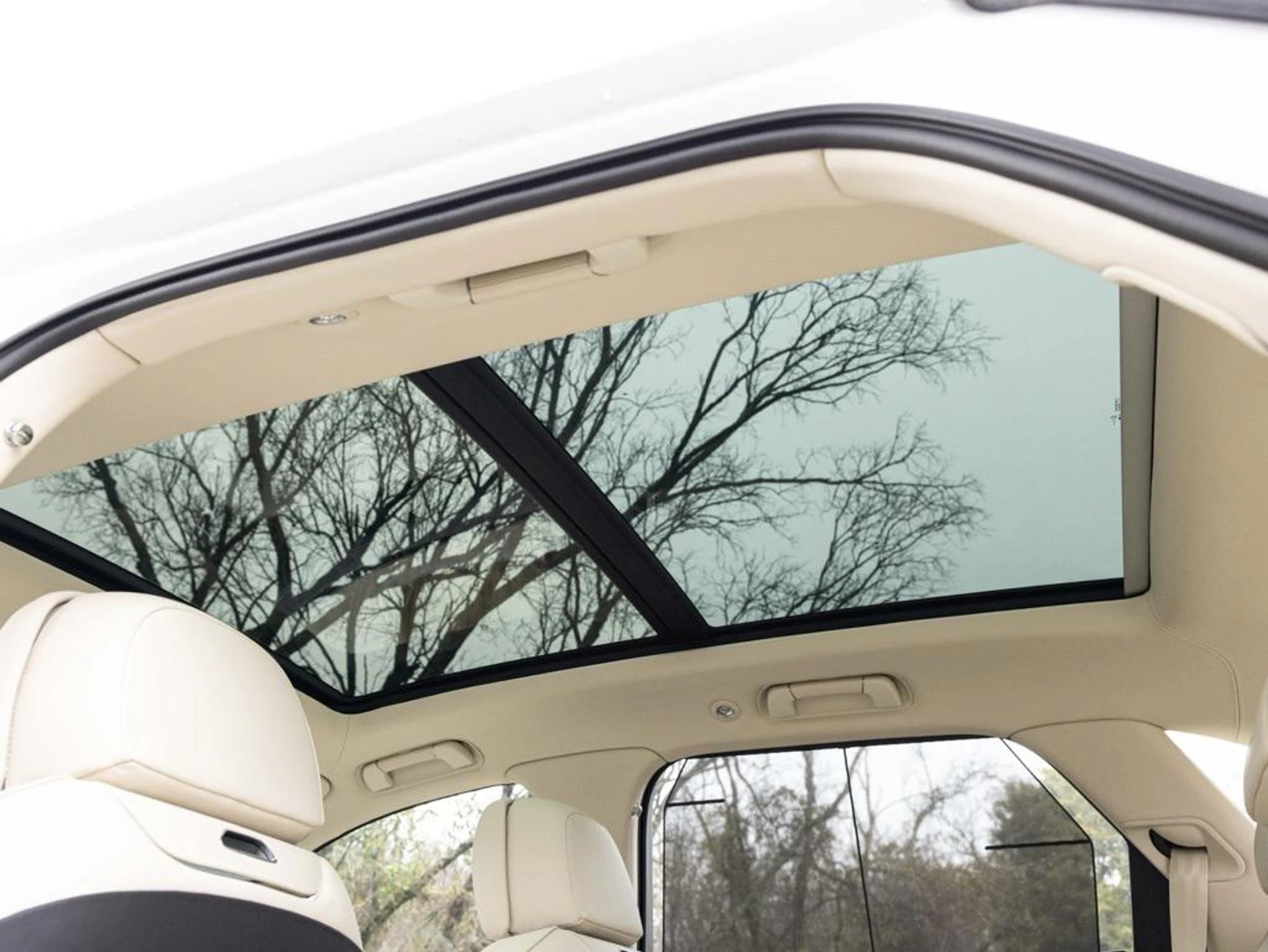 mph060_2290018601_480417656_693907d1be3adbc4f79da675_77257ba417