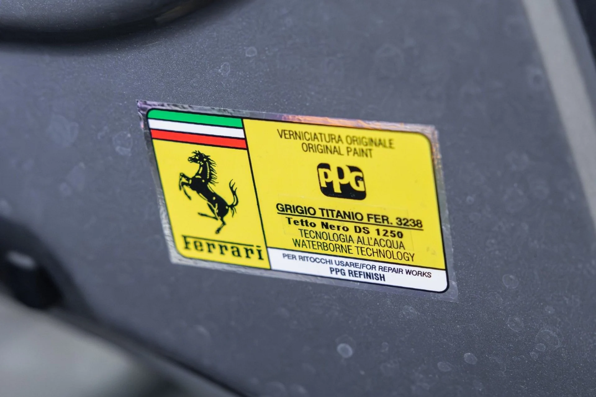 mph060_2531837481_zg_ec8e42c14d