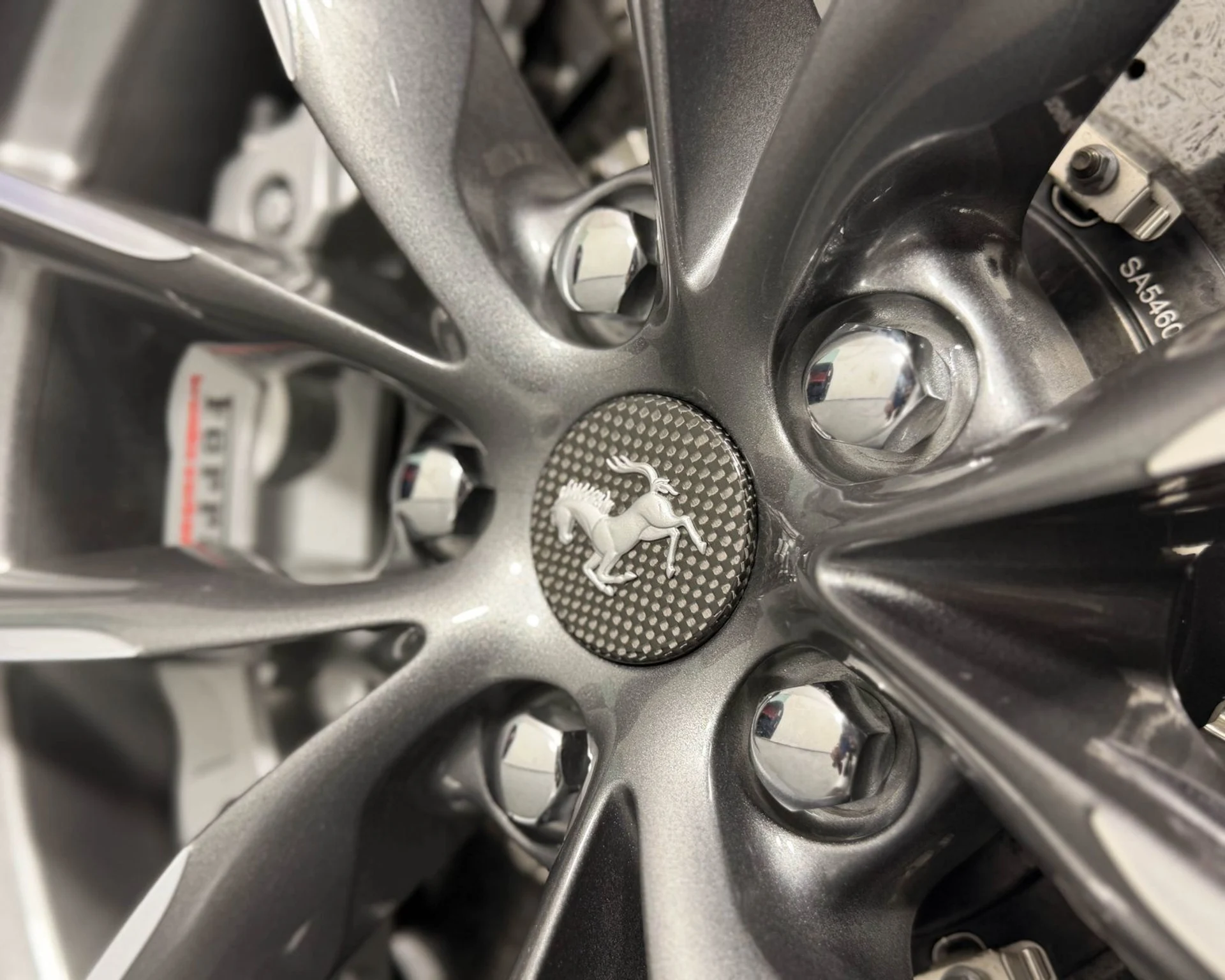 mph060_3208635956_c1d78112fb3541c69827b0a23d3f6bb6_2556fd9aa5