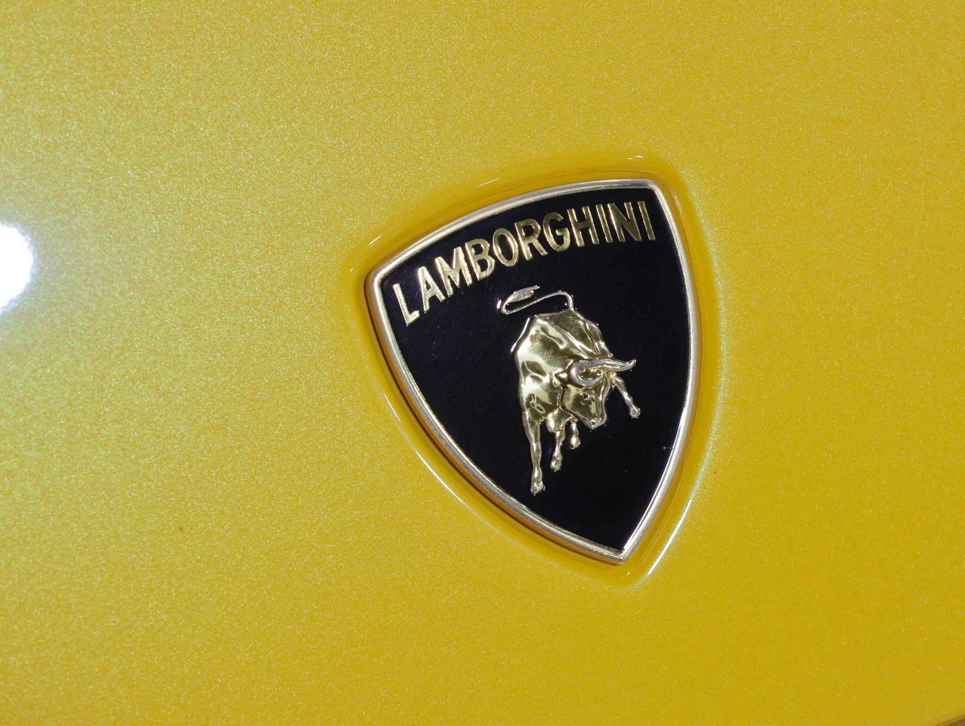 mph060_3412240372_Used_2008_Lamborghini_Gallardo_GATED_6_SPEED_MANUAL_Full_Car_PPF_Recent_20_K_Major_Service_1758142100_de9adfbf2a