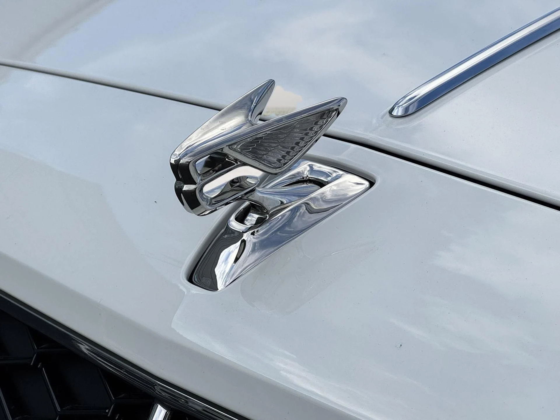 mph060_395299262_fb1564daadc06a85323de7c1715d22b8_09c8750f87