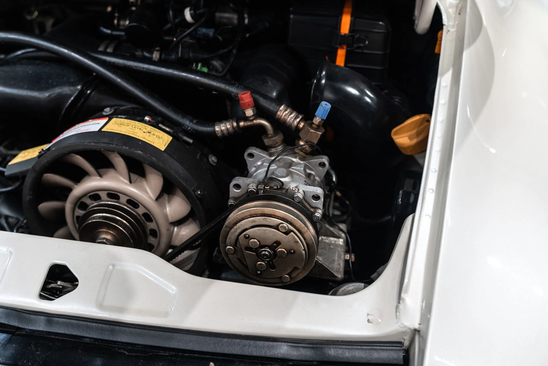 mph060_3990925403_12739_p61_l_09c5e40d63