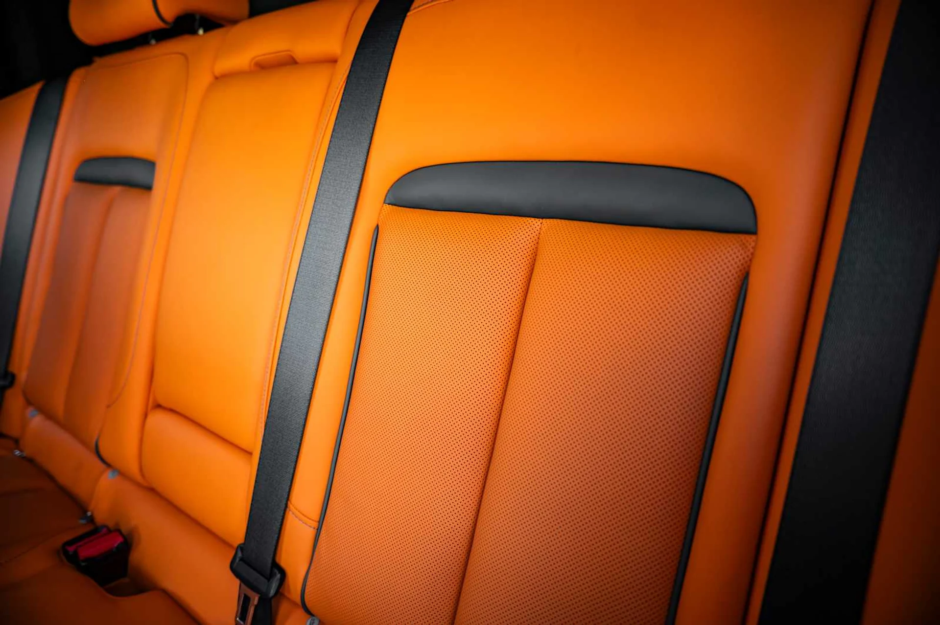 mph060_564203531_2173807b67eb649d78e232f40a1f04e5x_832fb1beba