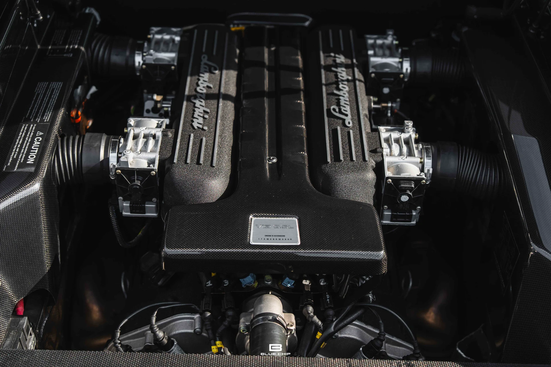 mph061_2303829026_6893848d4b6c62ac1f733fba_DSC_01151_6eb08c232c