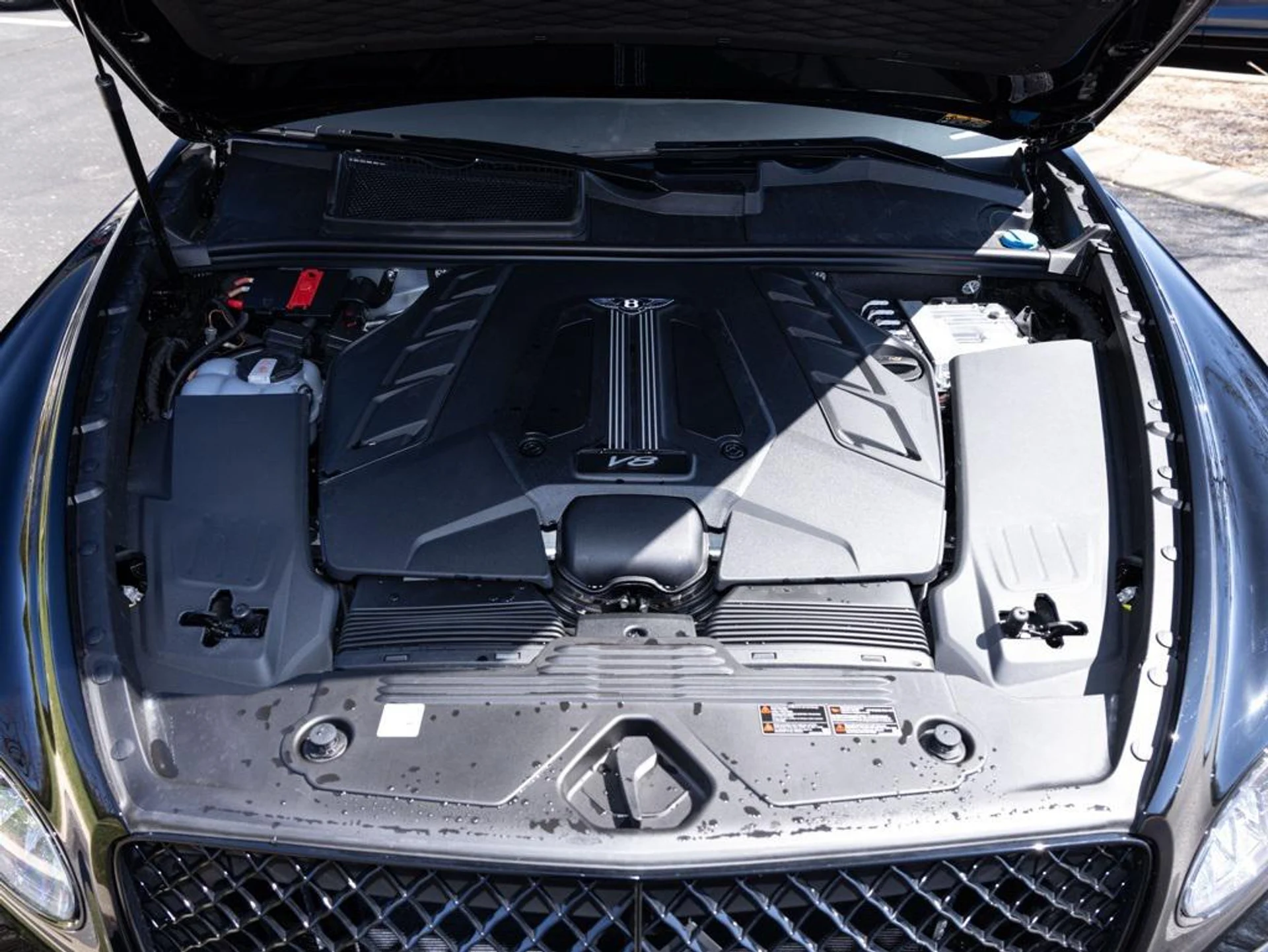 mph061_2986334922_407780630_69464460604a396795b9f406_40fdf8f835