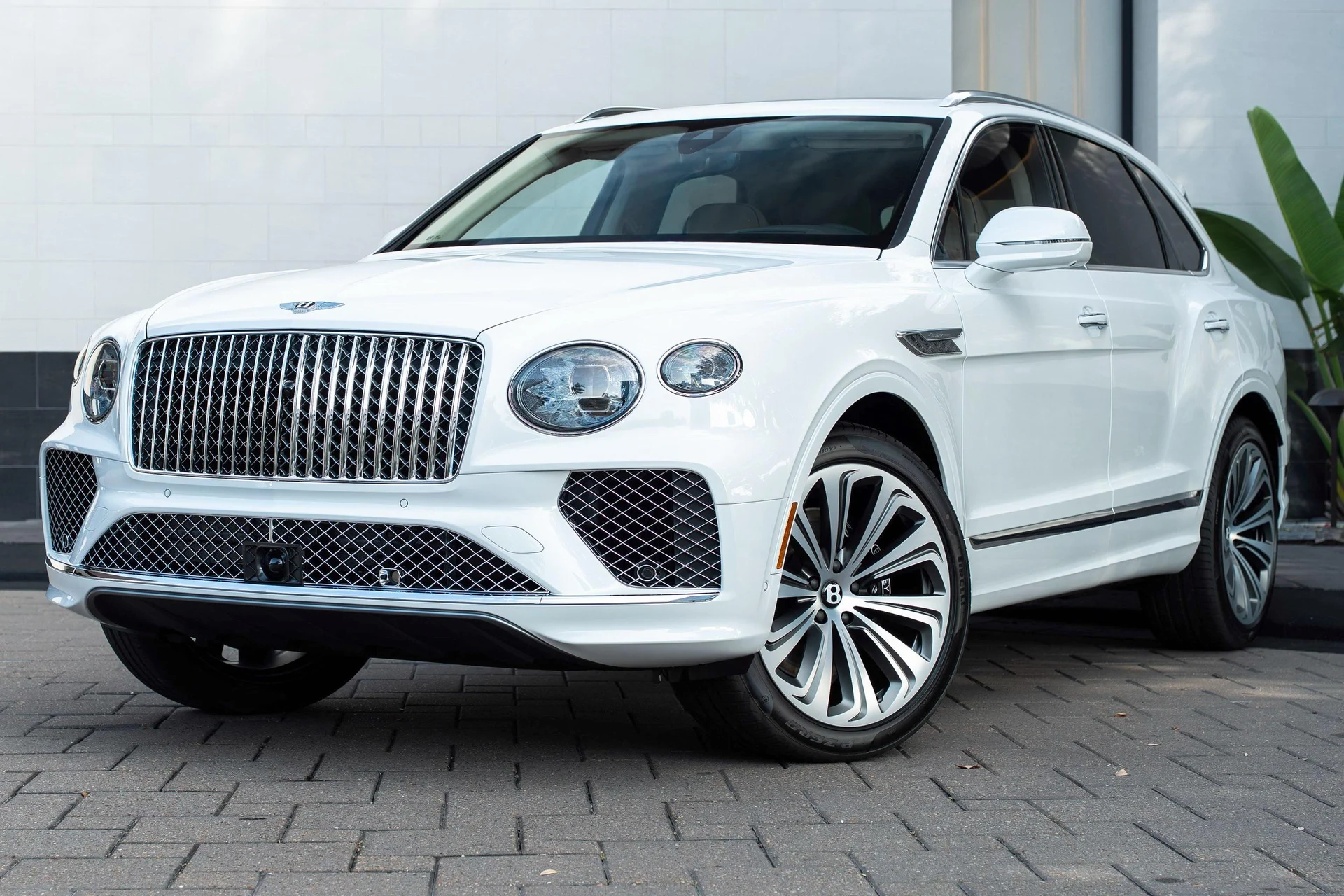 mph061_3536289783_462758411_6954bfb54e73cd9f103f4efd_7764598a24