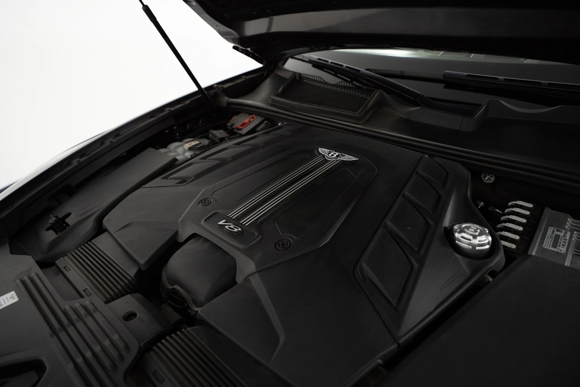 mph061_4257959354_4774c21a_3780_4c79_ac7f_70a764d81369_1c338a0a76