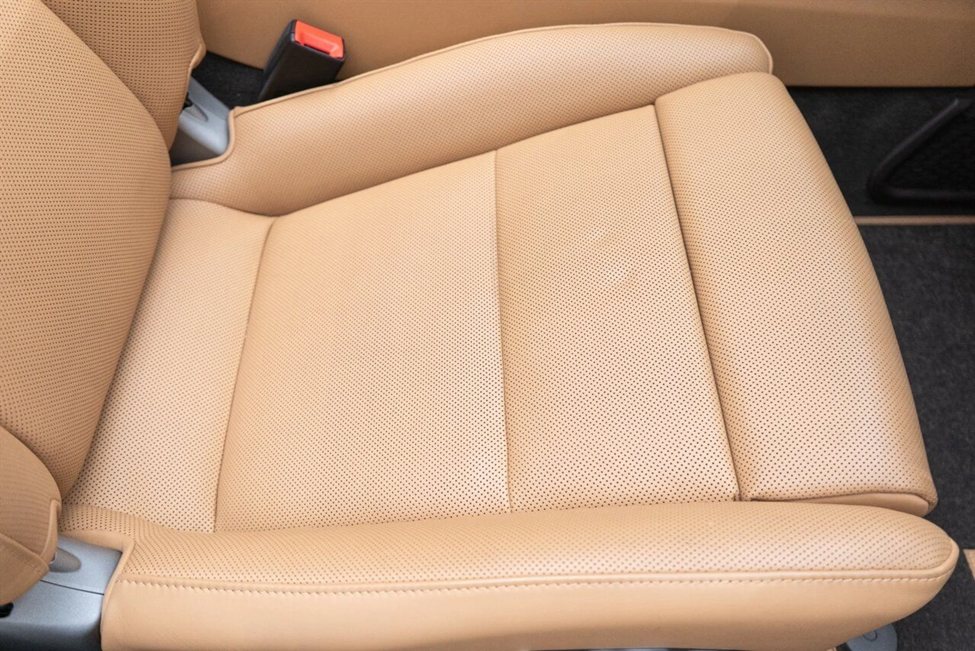 mph061_767381107_116450c2e9_1280_2671e930b6