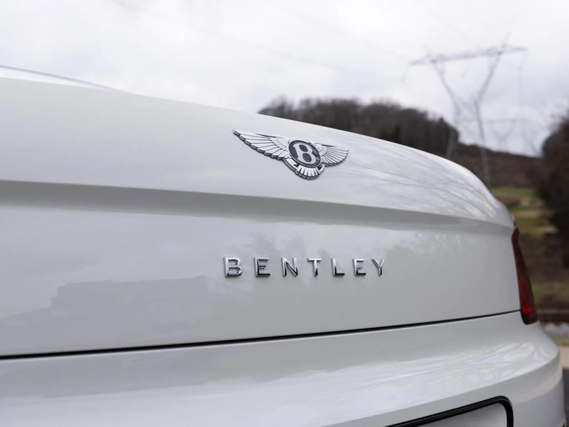 mph062_1603272986_403809833_67c234346b5617b02de637d4_8d241494f0