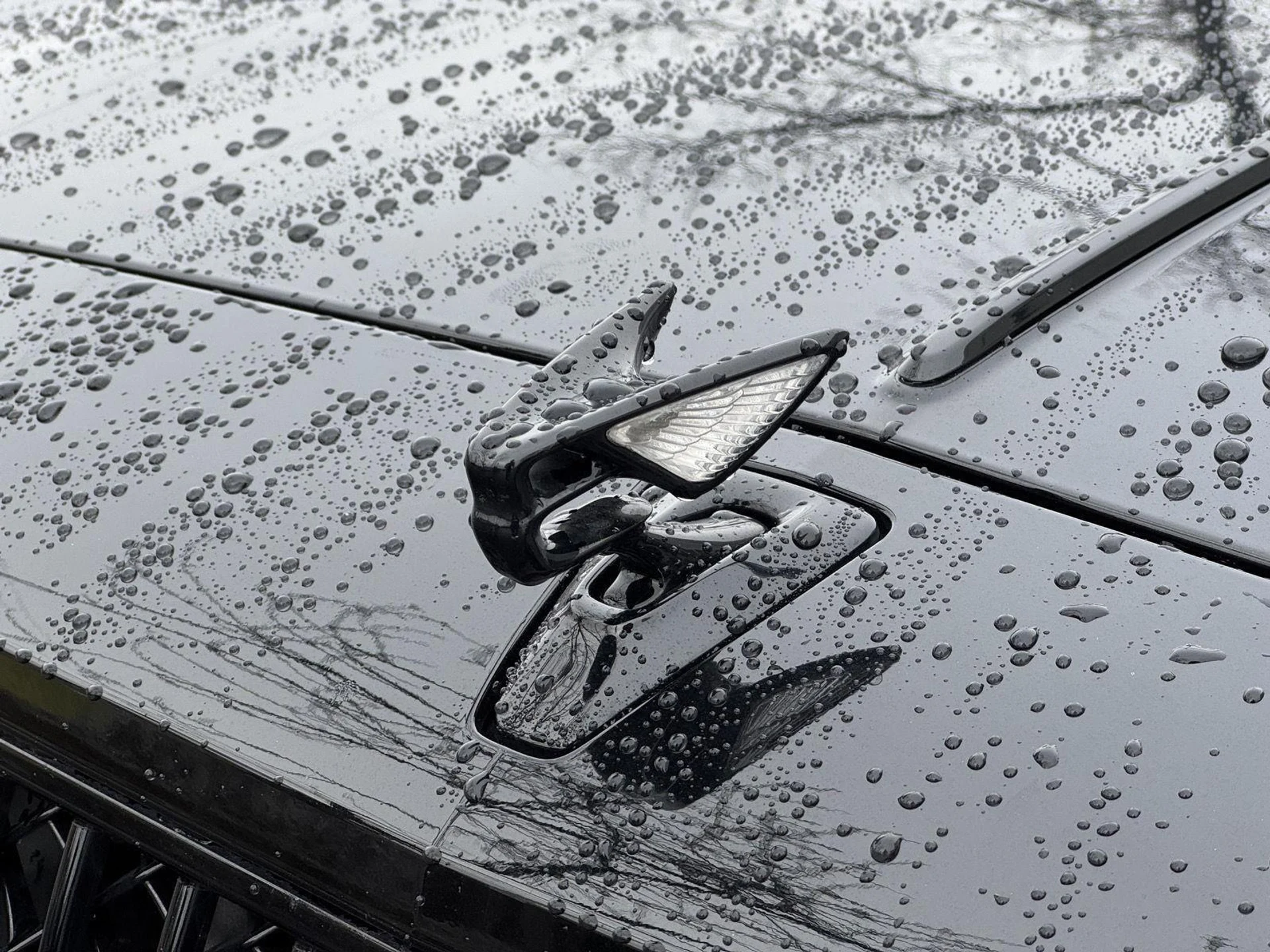 mph062_1726687958_fb0f5184baf02dbb127478232294d148_e8c570d137