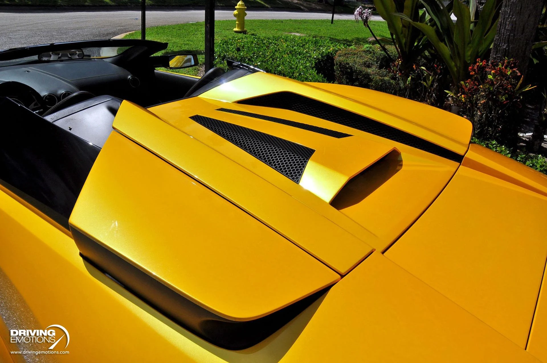 mph062_2092979812_862_p63_l_df869850cd